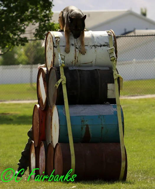 upoa 2011 022.jpg