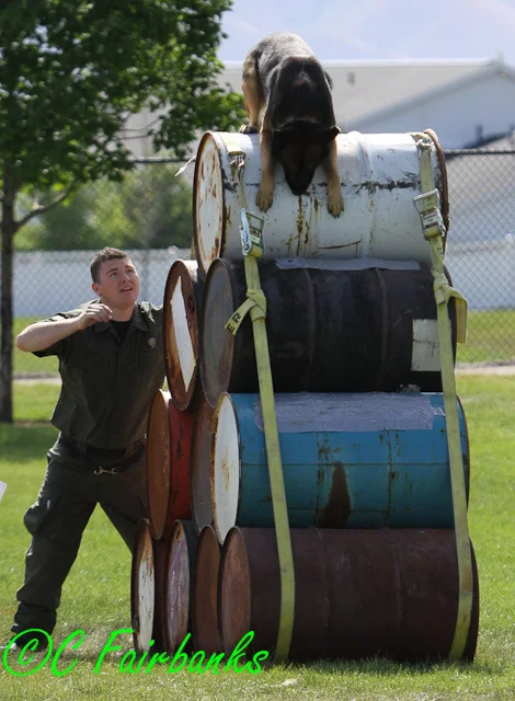 upoa 2011 024.jpg