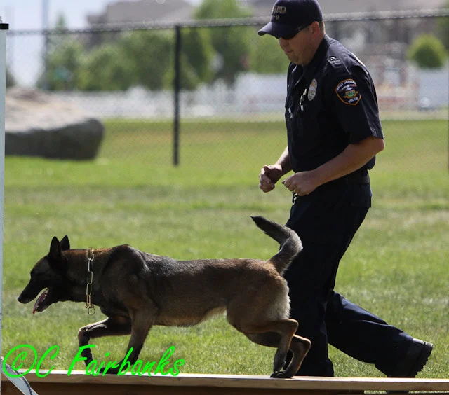 upoa 2011 122.jpg