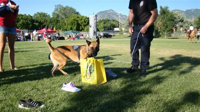 millcreek noac 2011 122.jpg