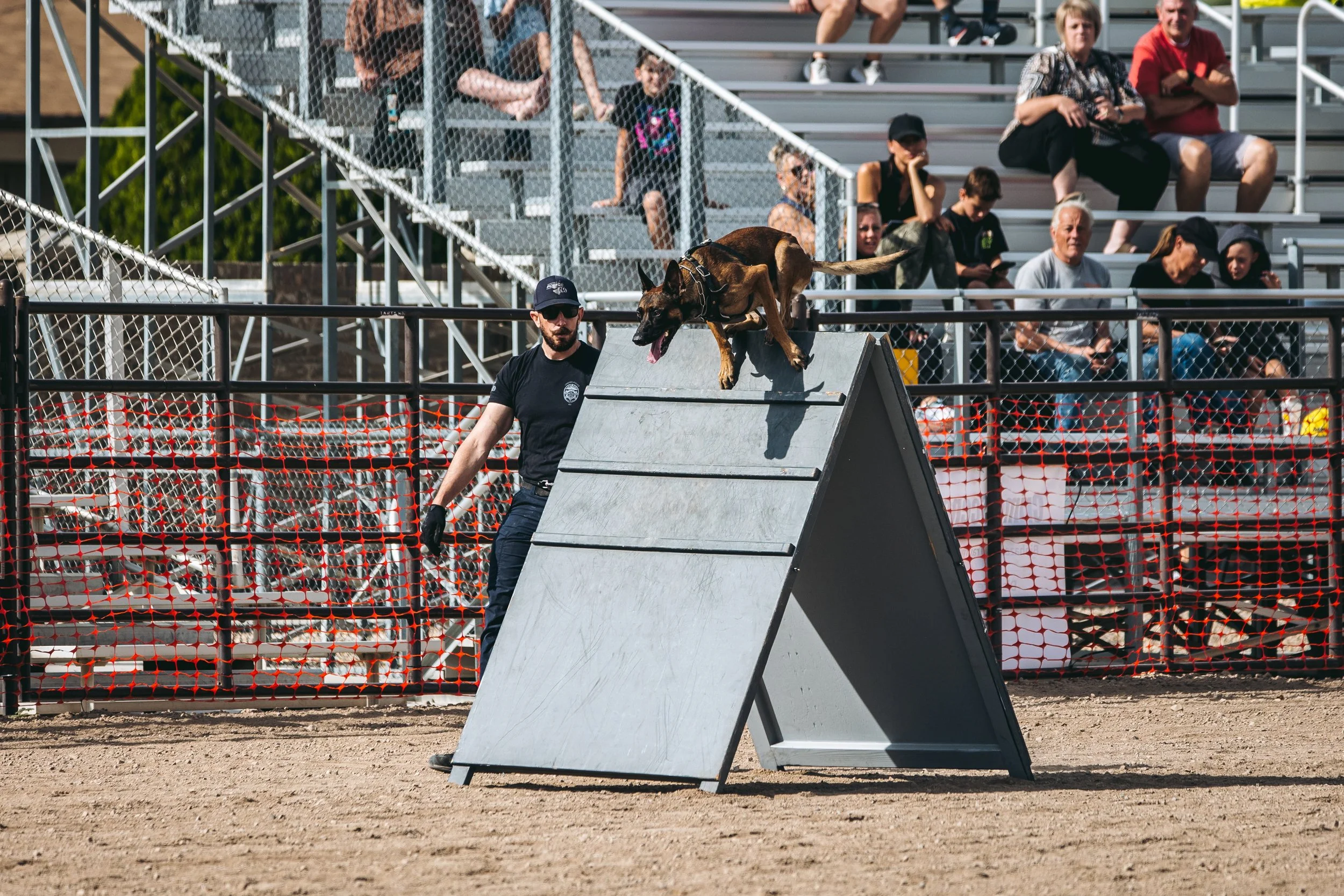 k9trial(84of476).jpg