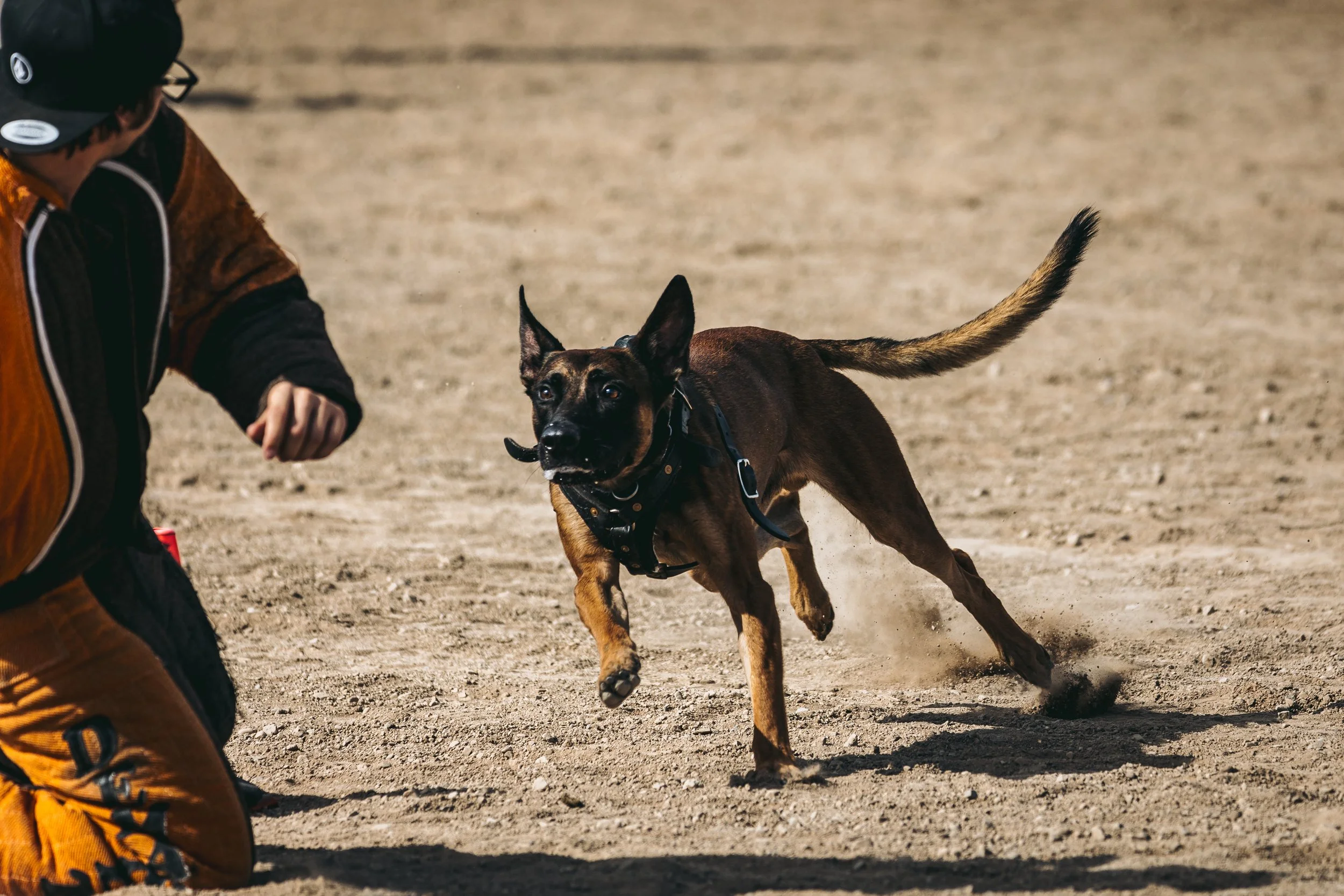 k9trial(88of476).jpg