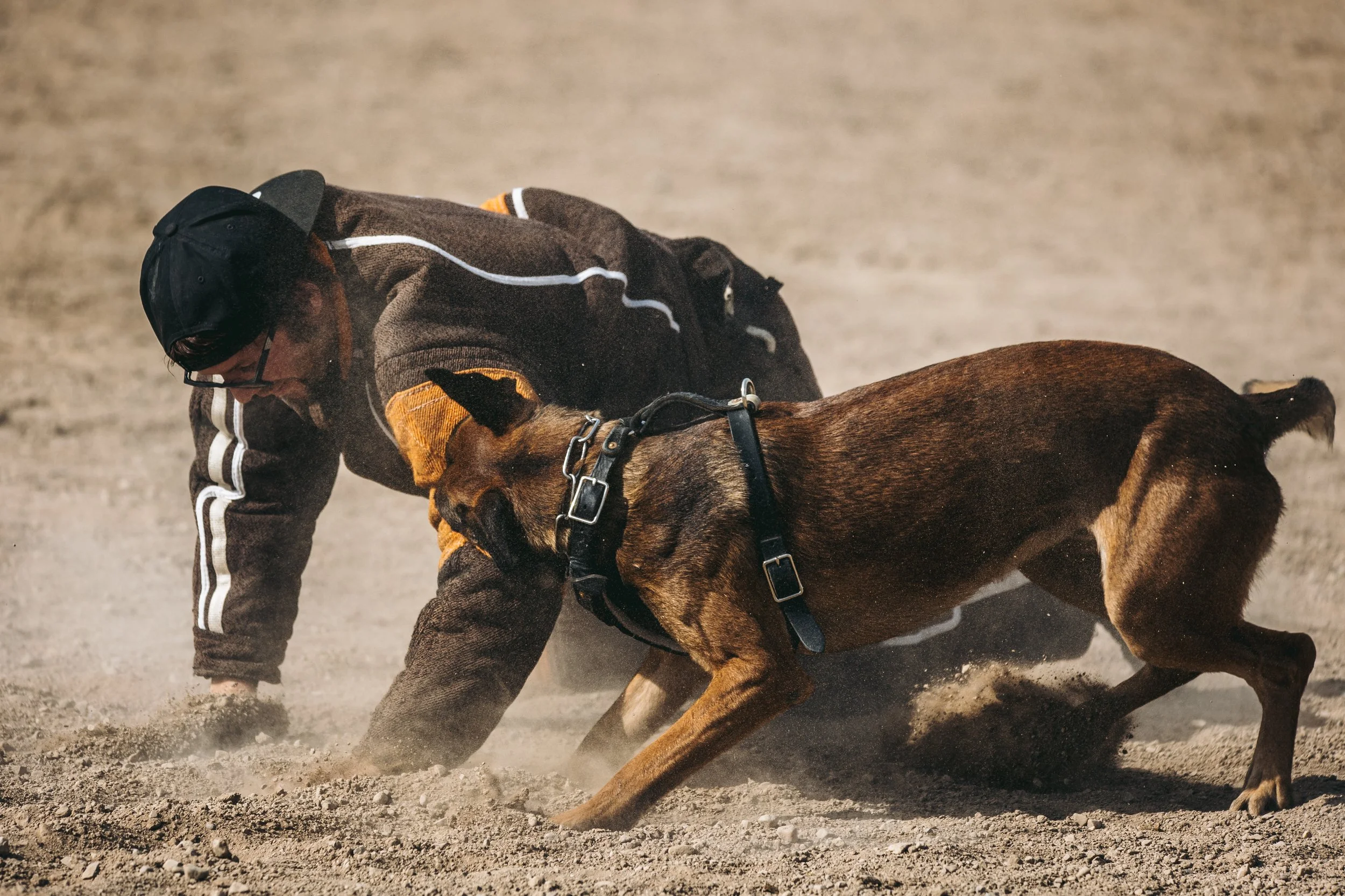 k9trial(90of476).jpg