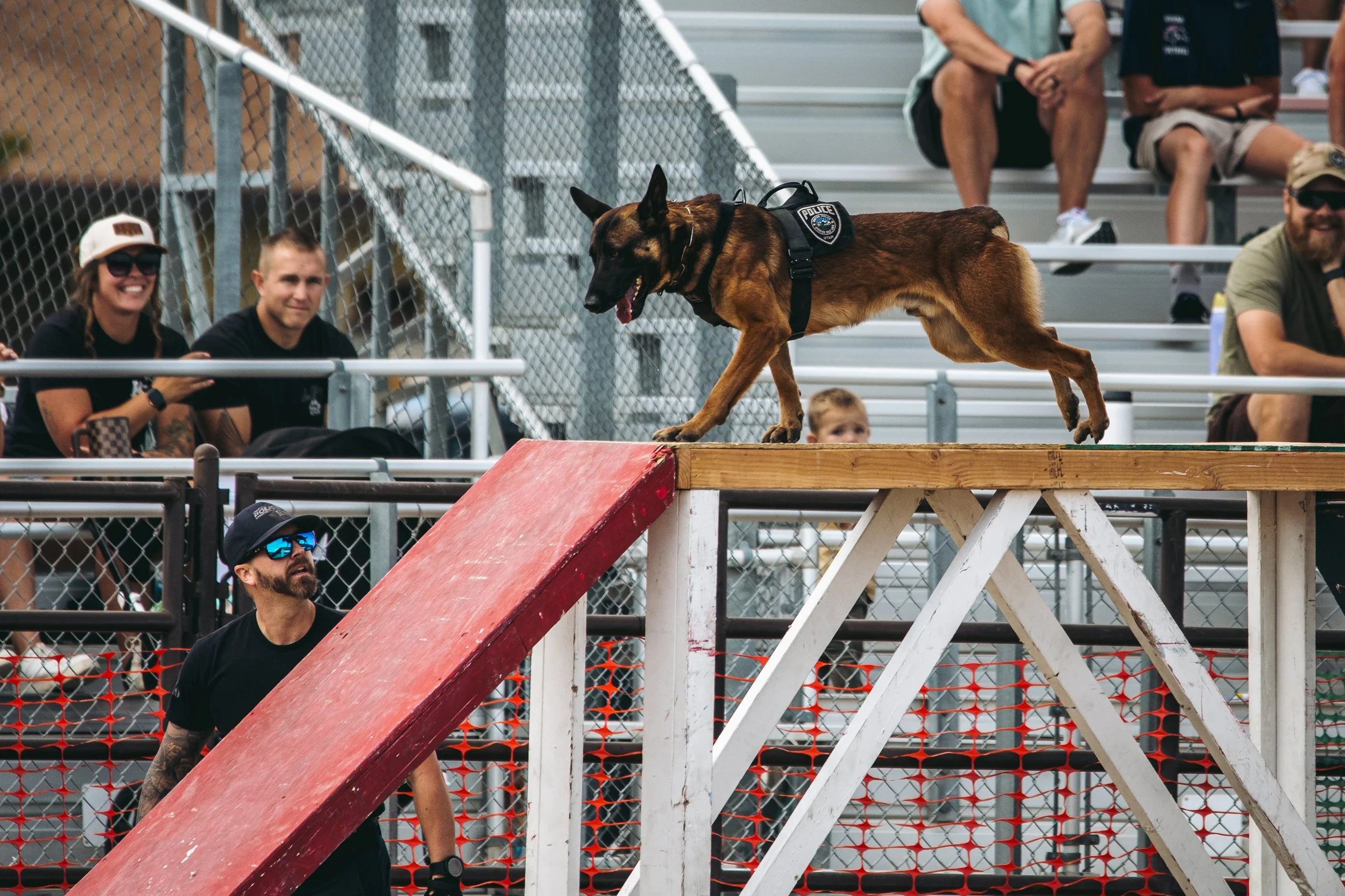 k9trial(119of476).jpg