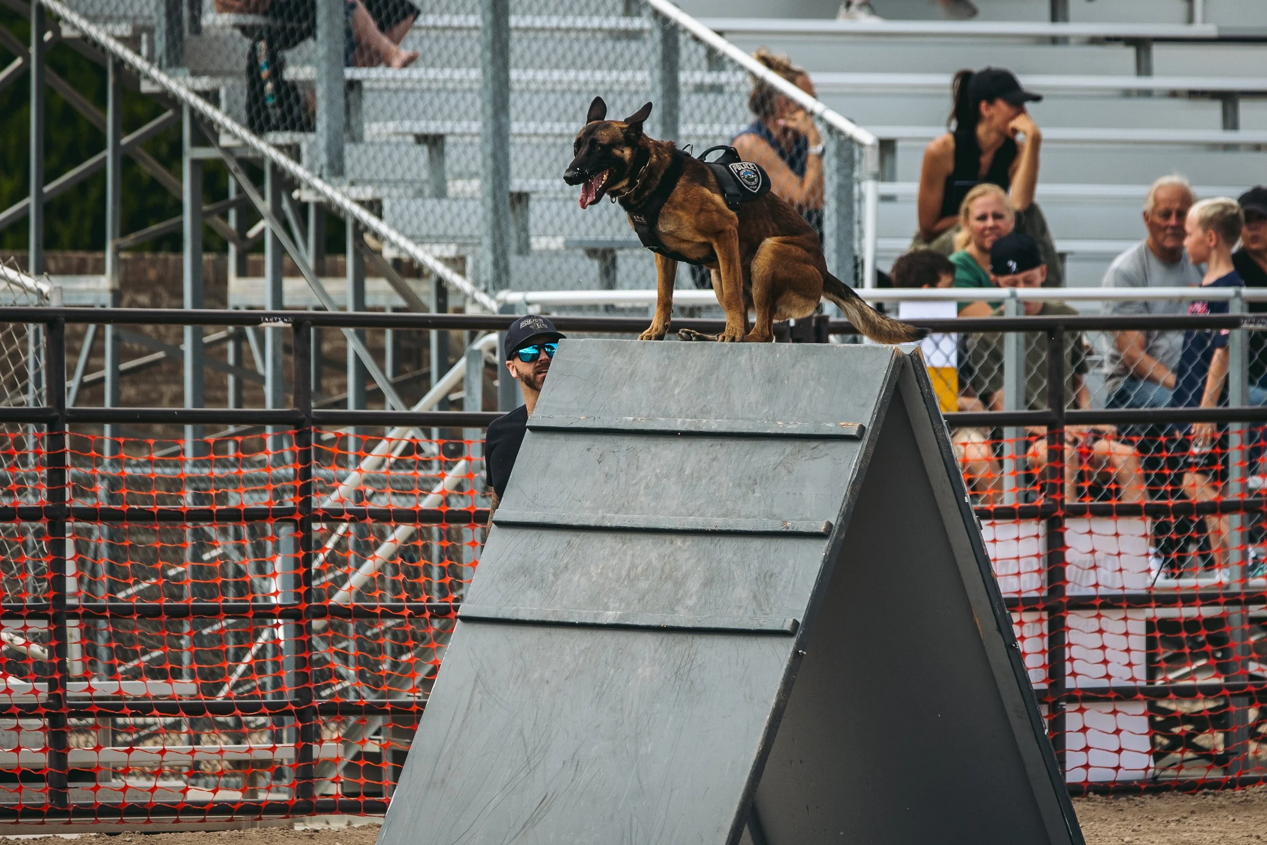 k9trial(120of476).jpg