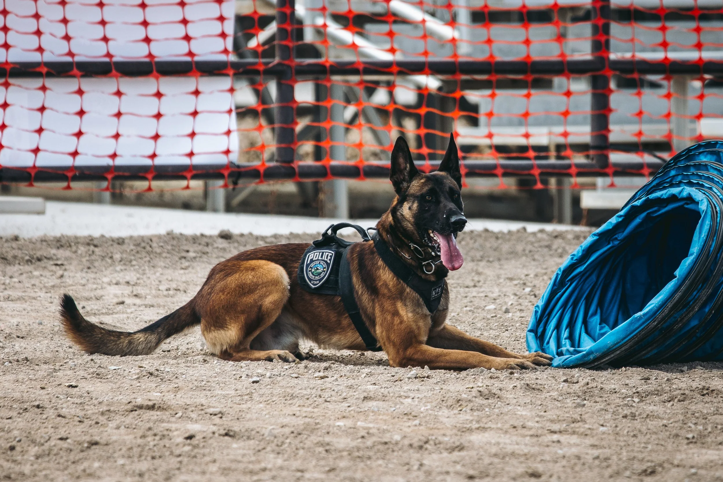 k9trial(121of476).jpg