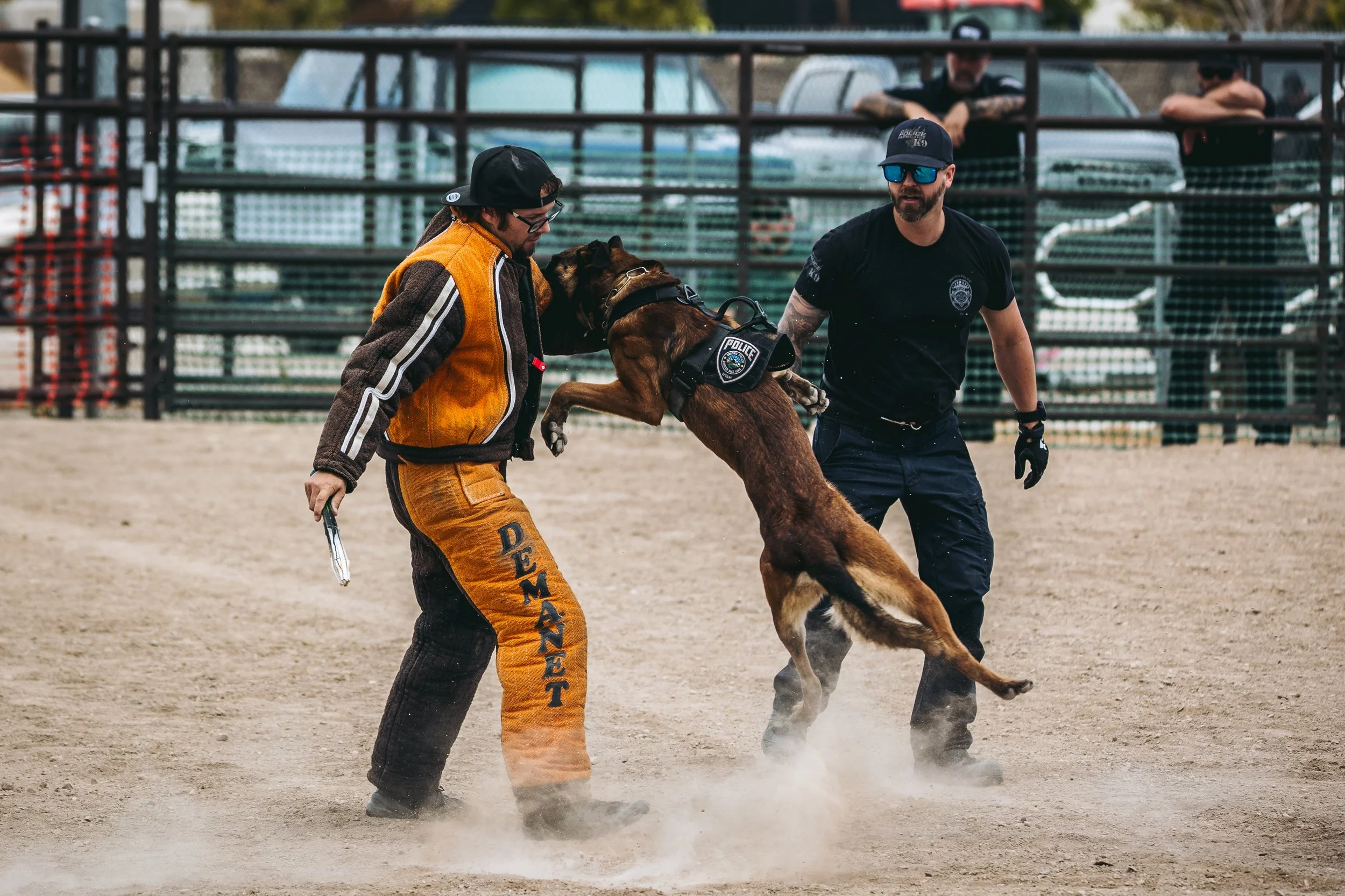k9trial(250of476).jpg