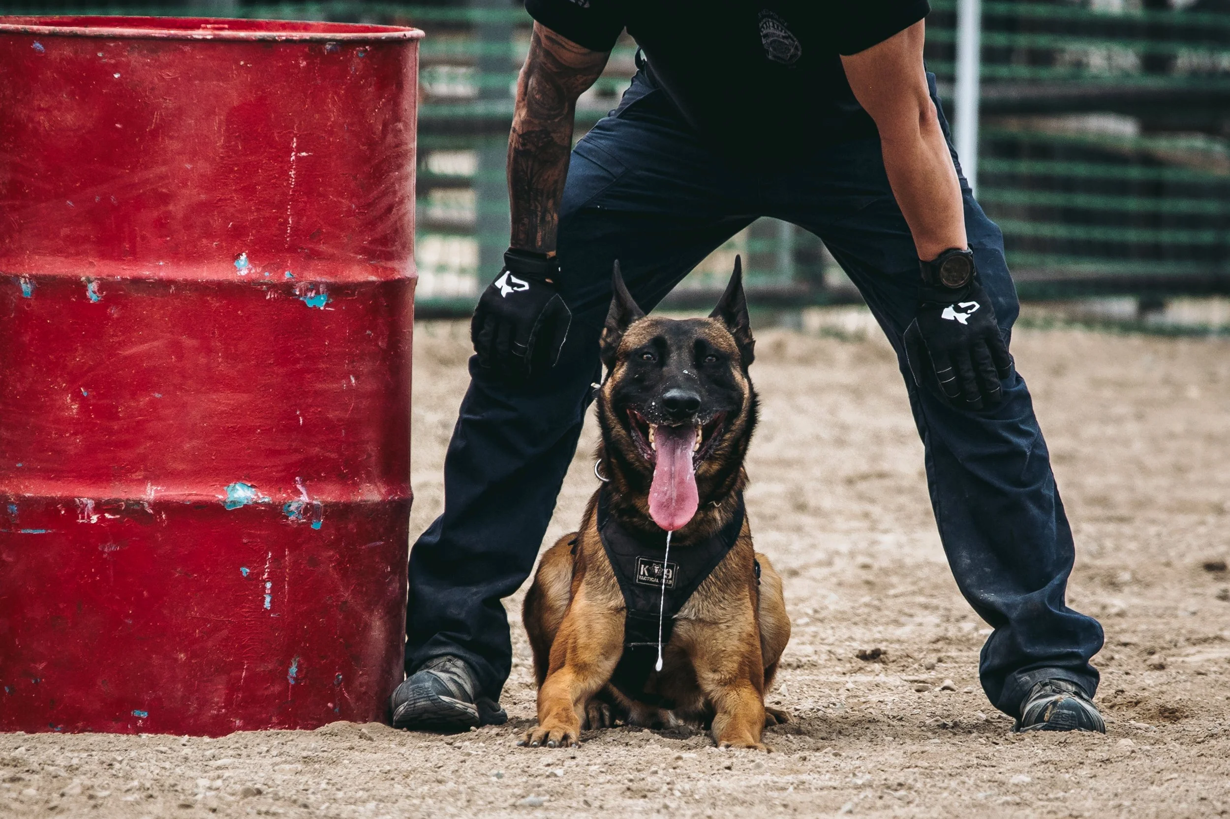 k9trial(254of476).jpg