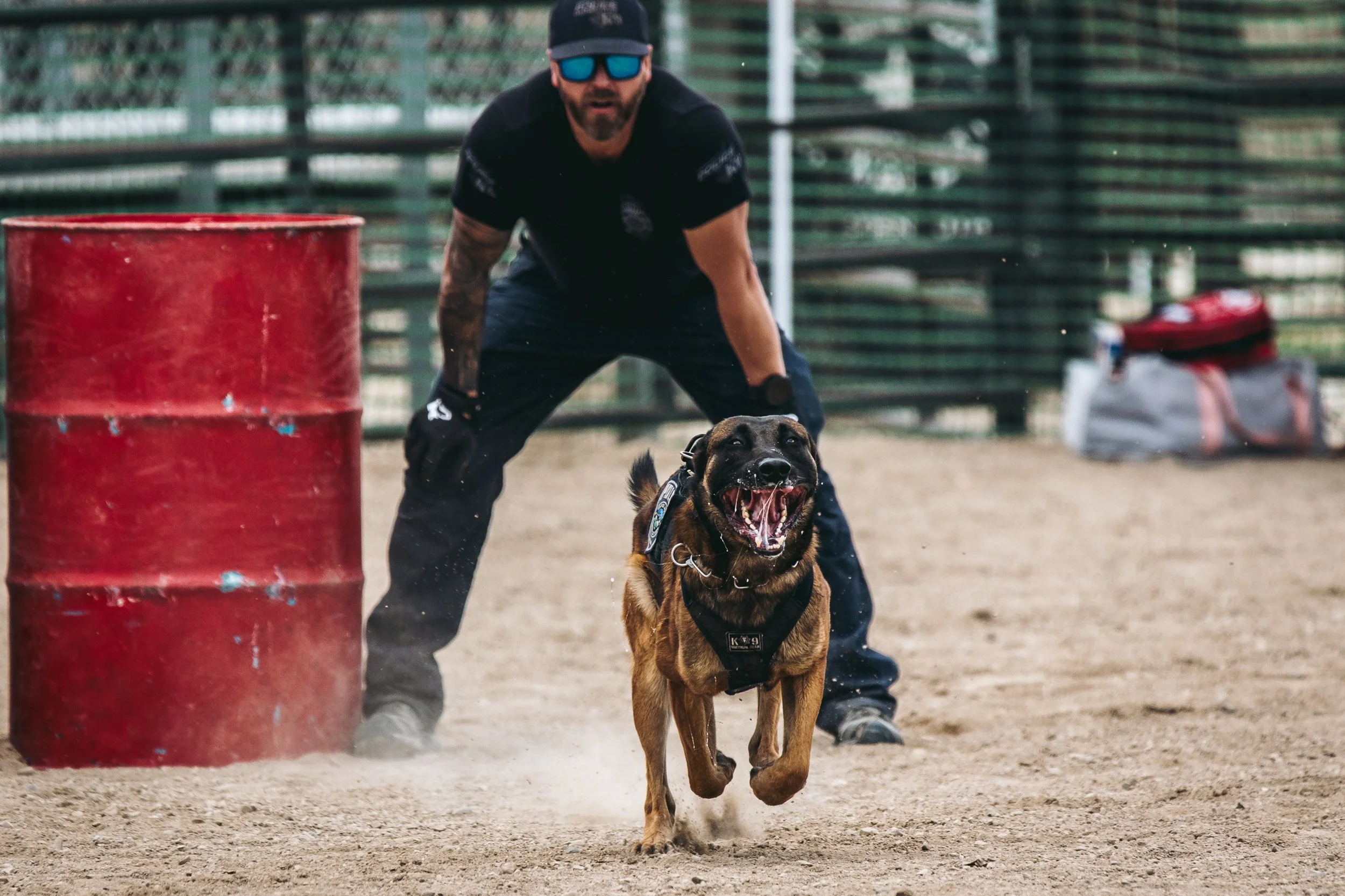 k9trial(255of476).jpg