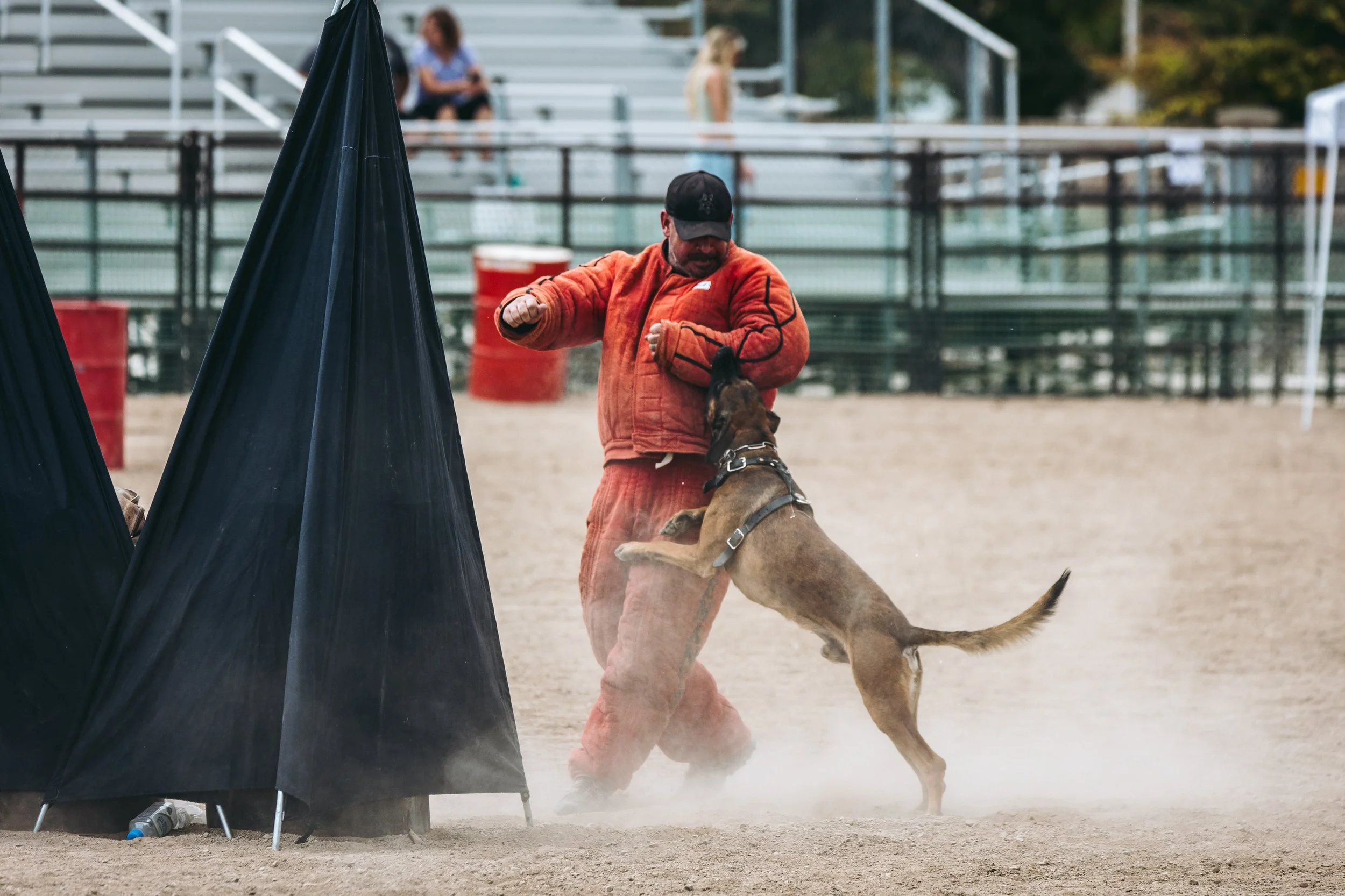 k9trial(300of476).jpg