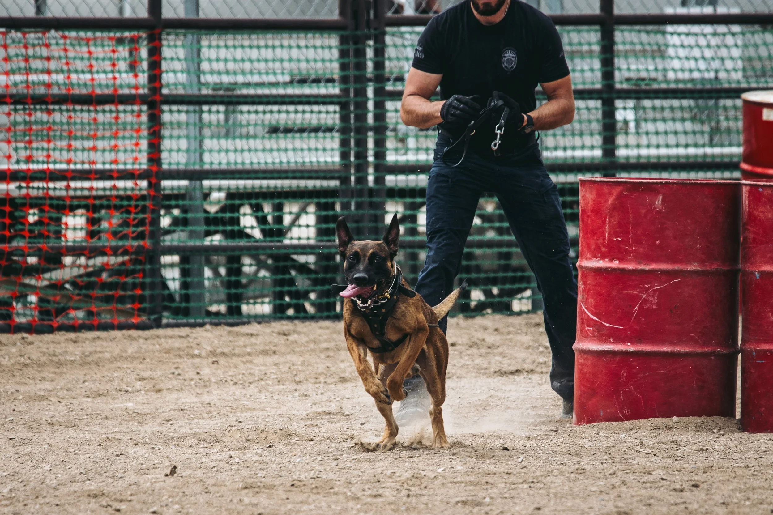 k9trial(305of476).jpg