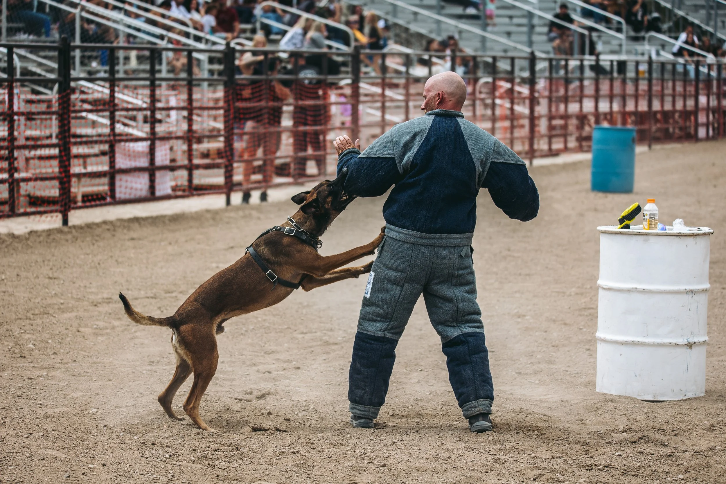 k9trial(308of476).jpg
