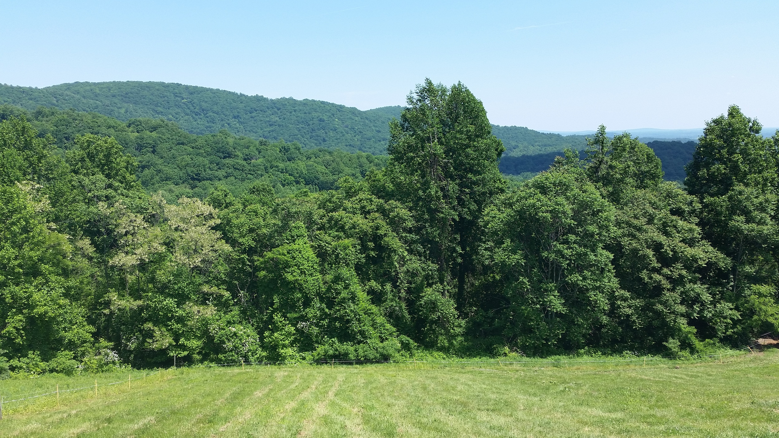 20150524_142057.jpg