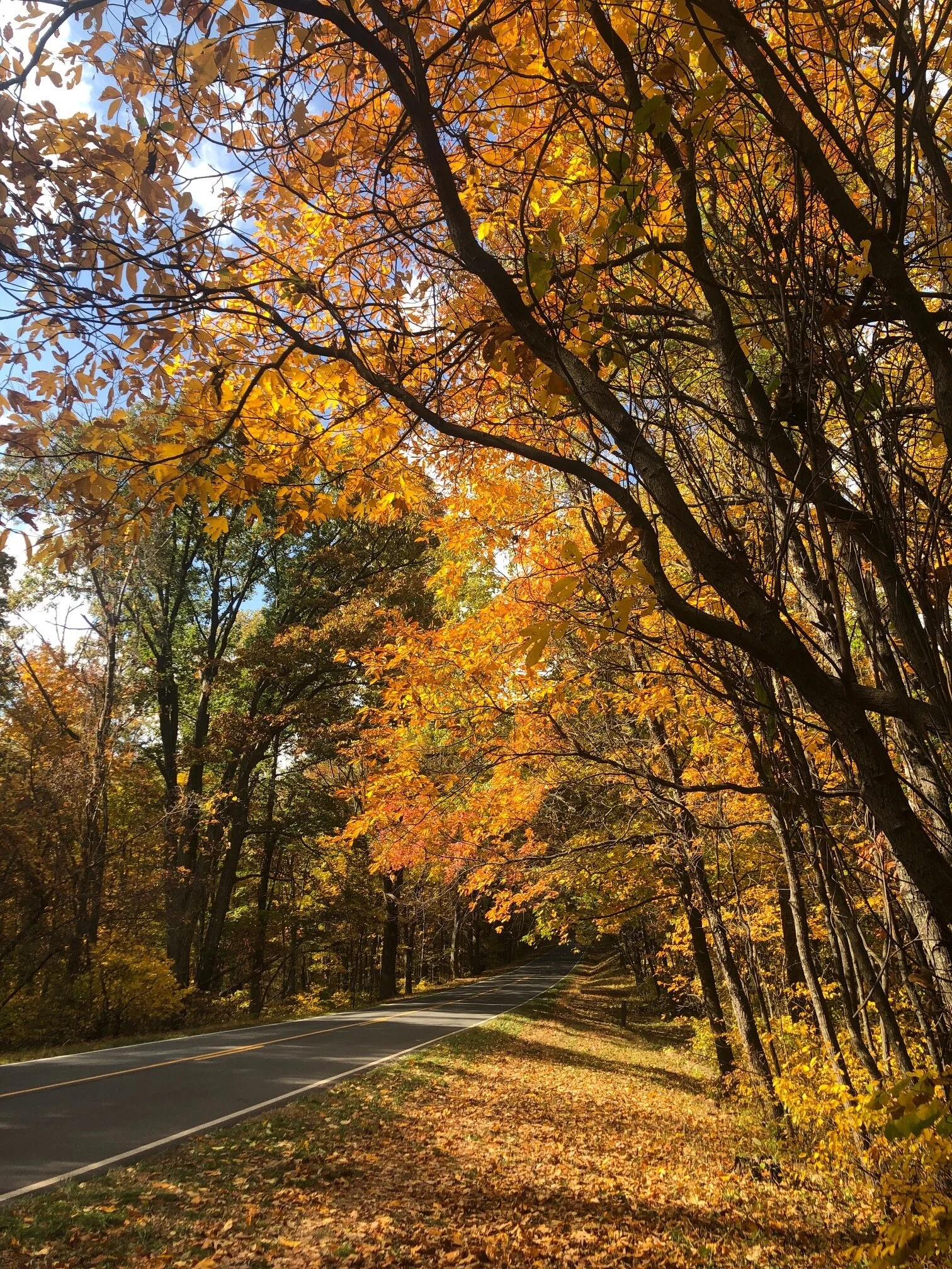 Fall travel adventures during COVID