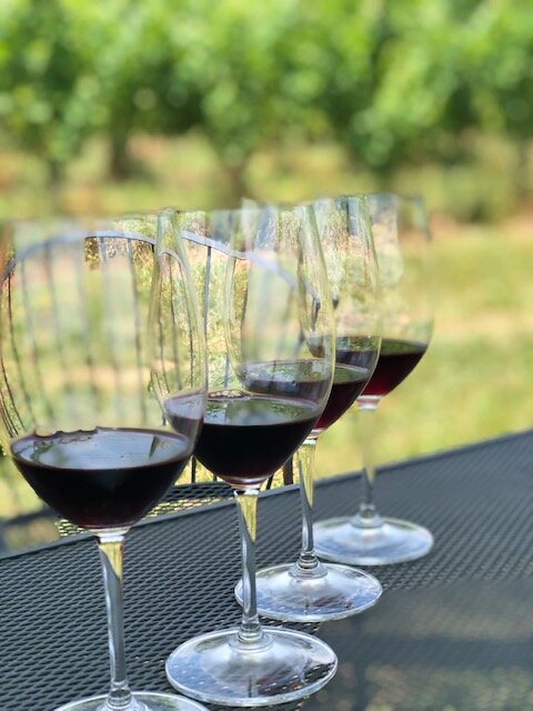 My Wine Journey (Part I) 