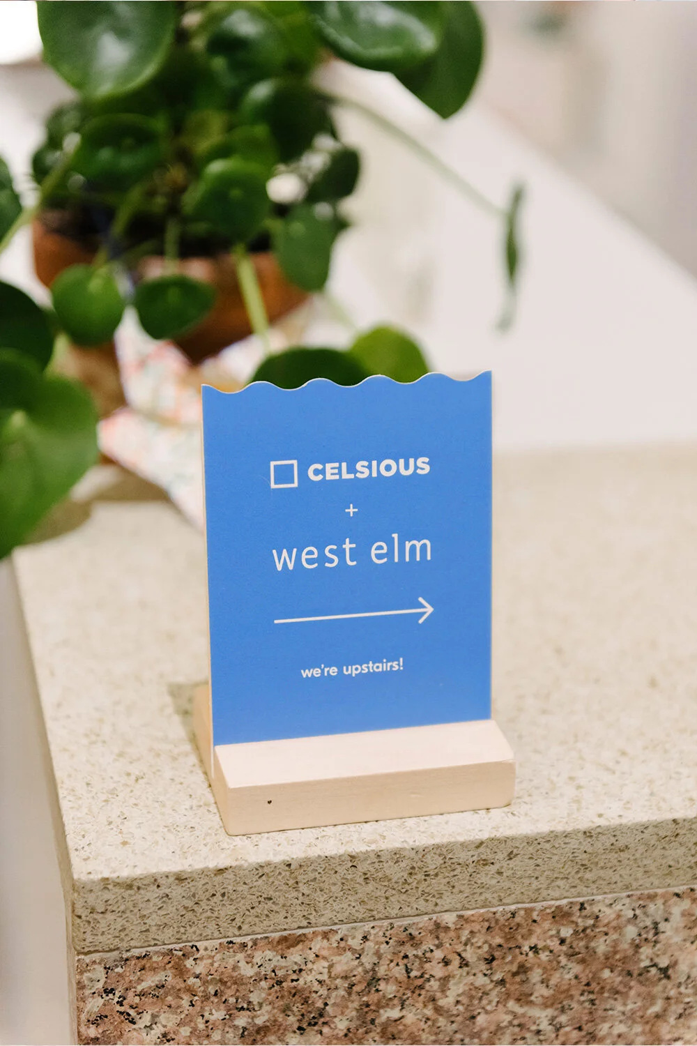CELSIOUS_WESTELM_UPSTAIRS_CZ.jpg