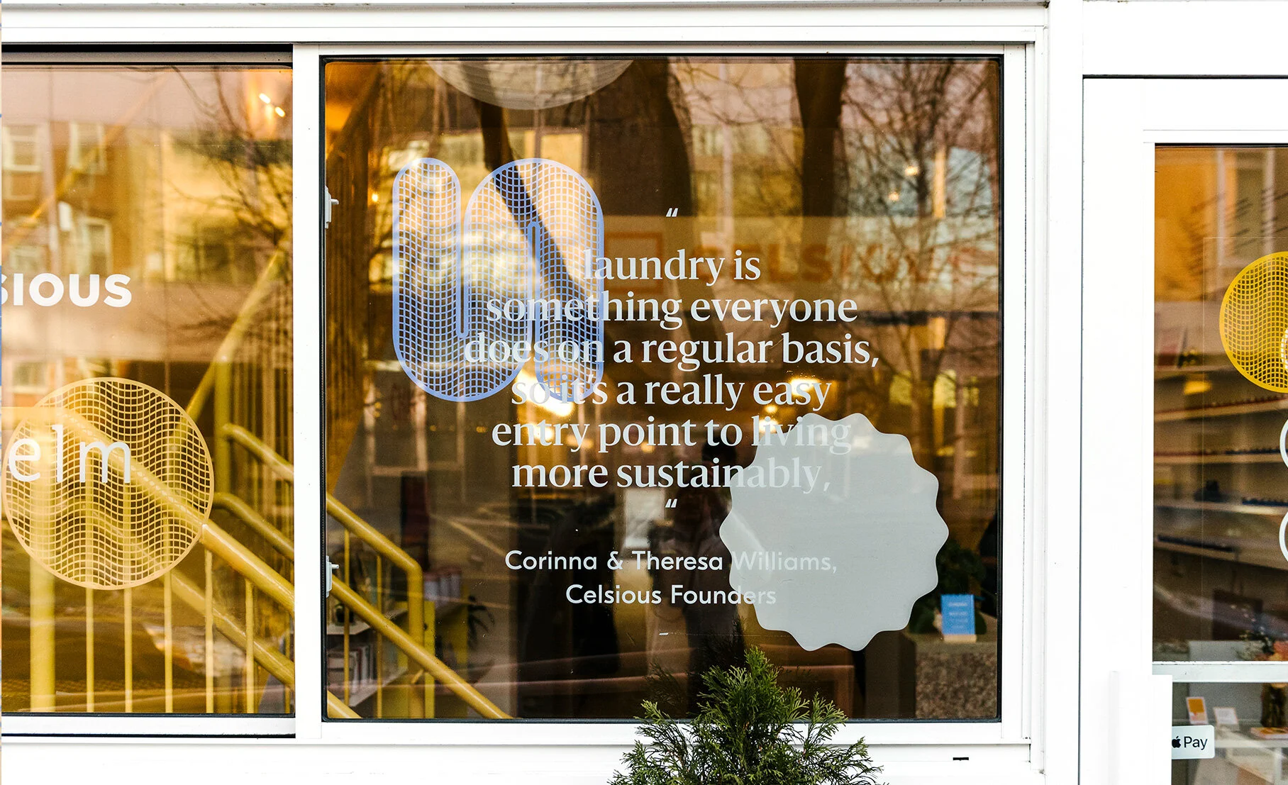 CELSIOUS_WESTELM_WINDOW_CZ.jpg