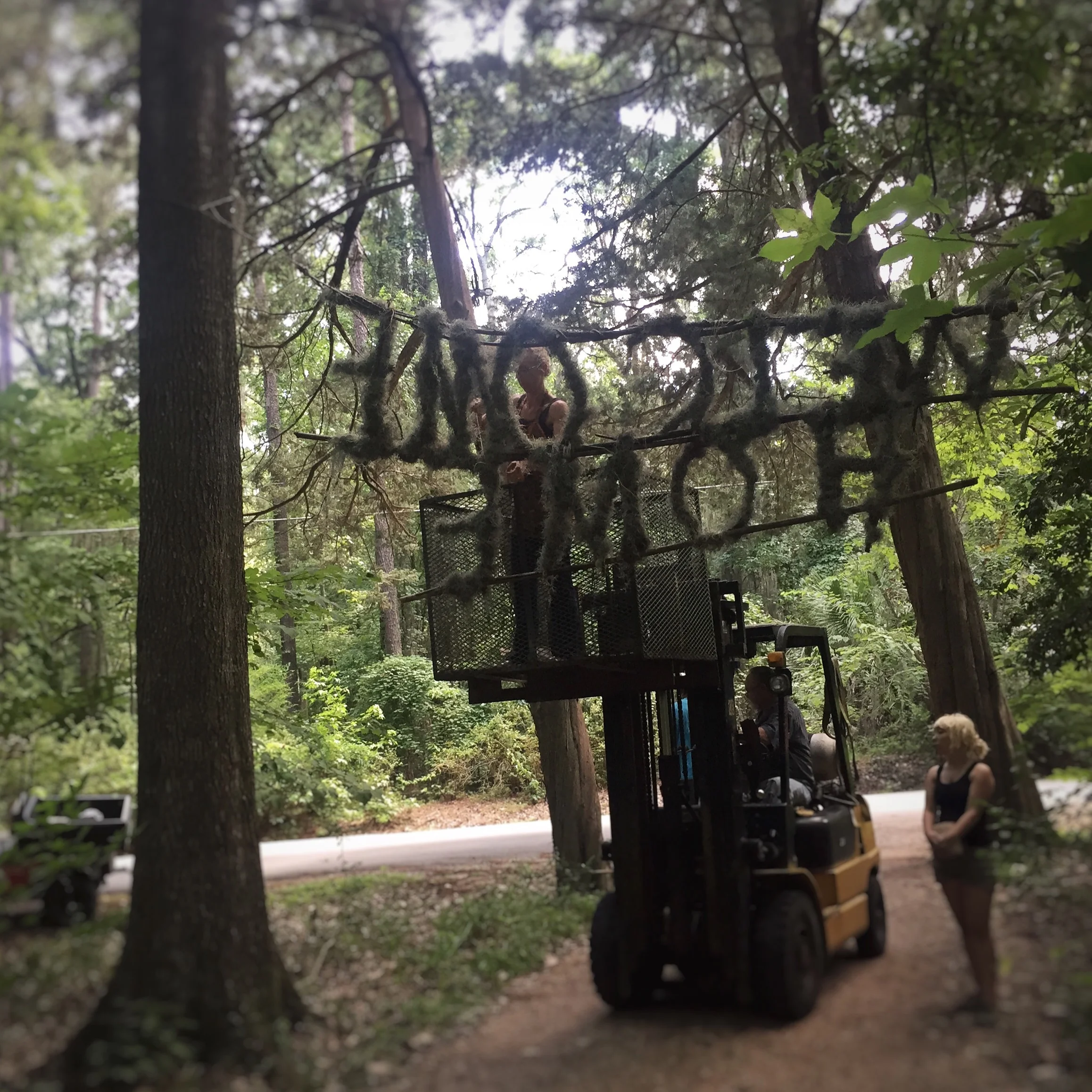 "welcome home", bamboo, spanish moss, treetops, hemp, grape vine, 2015