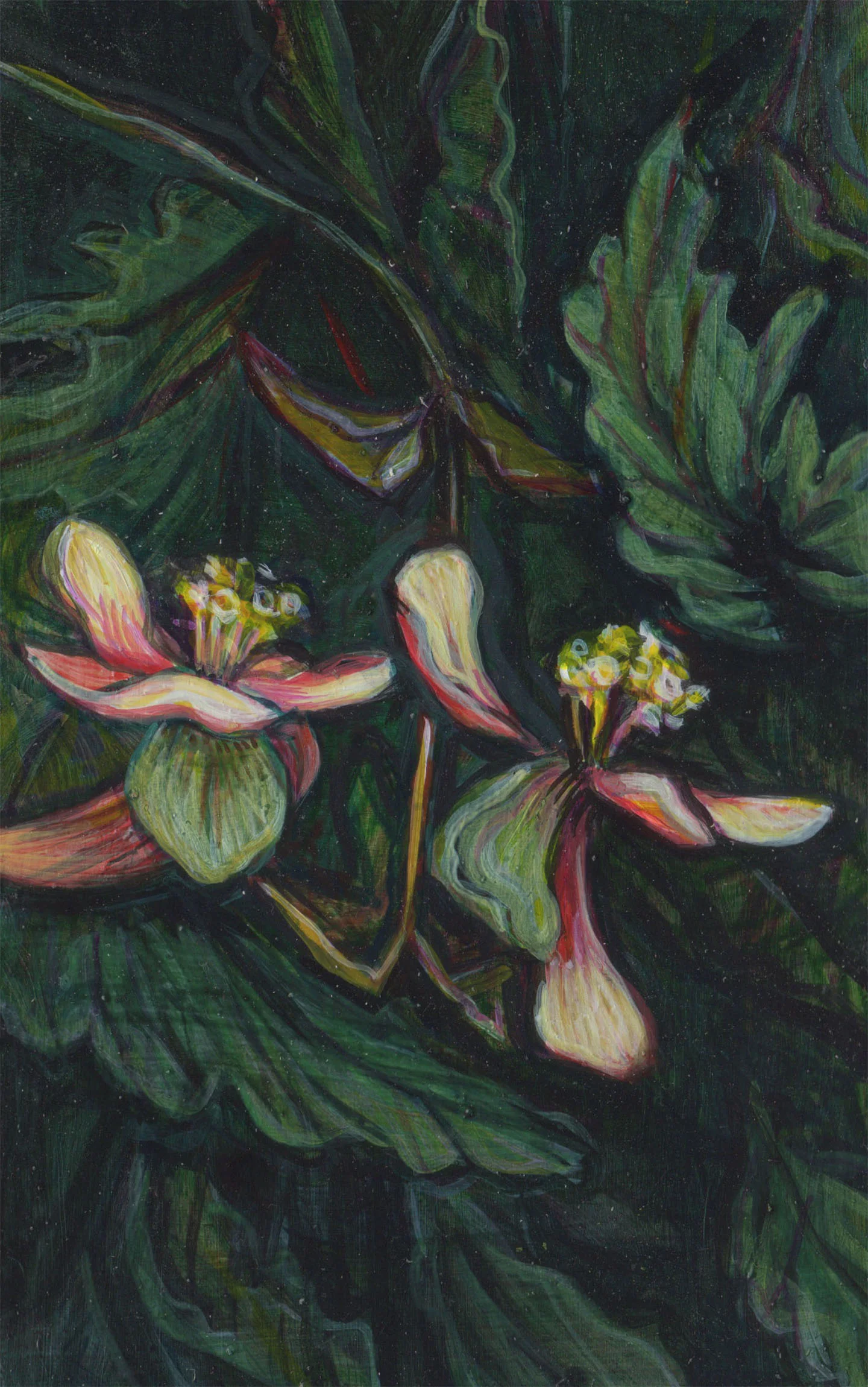 (su1516) begonias, 5 3/4" x 3 5/8", water-based media on panel, 2015-2016