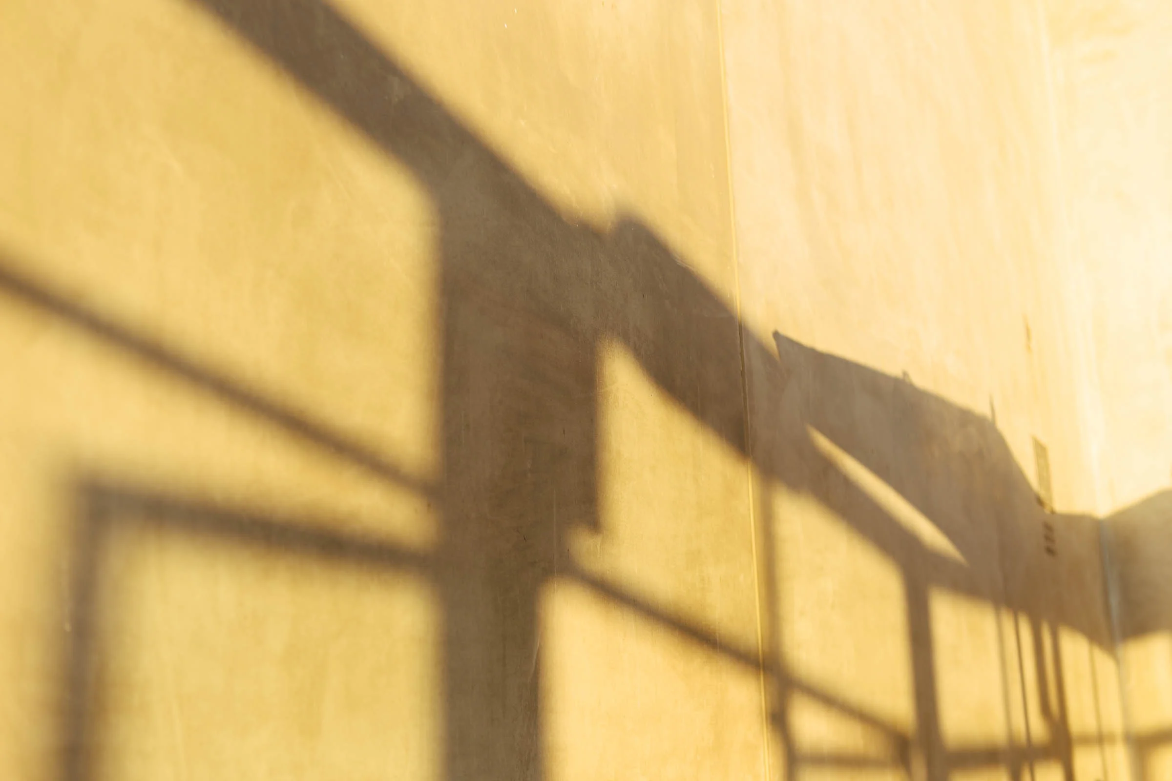 Sparkles Forever-25.jpg