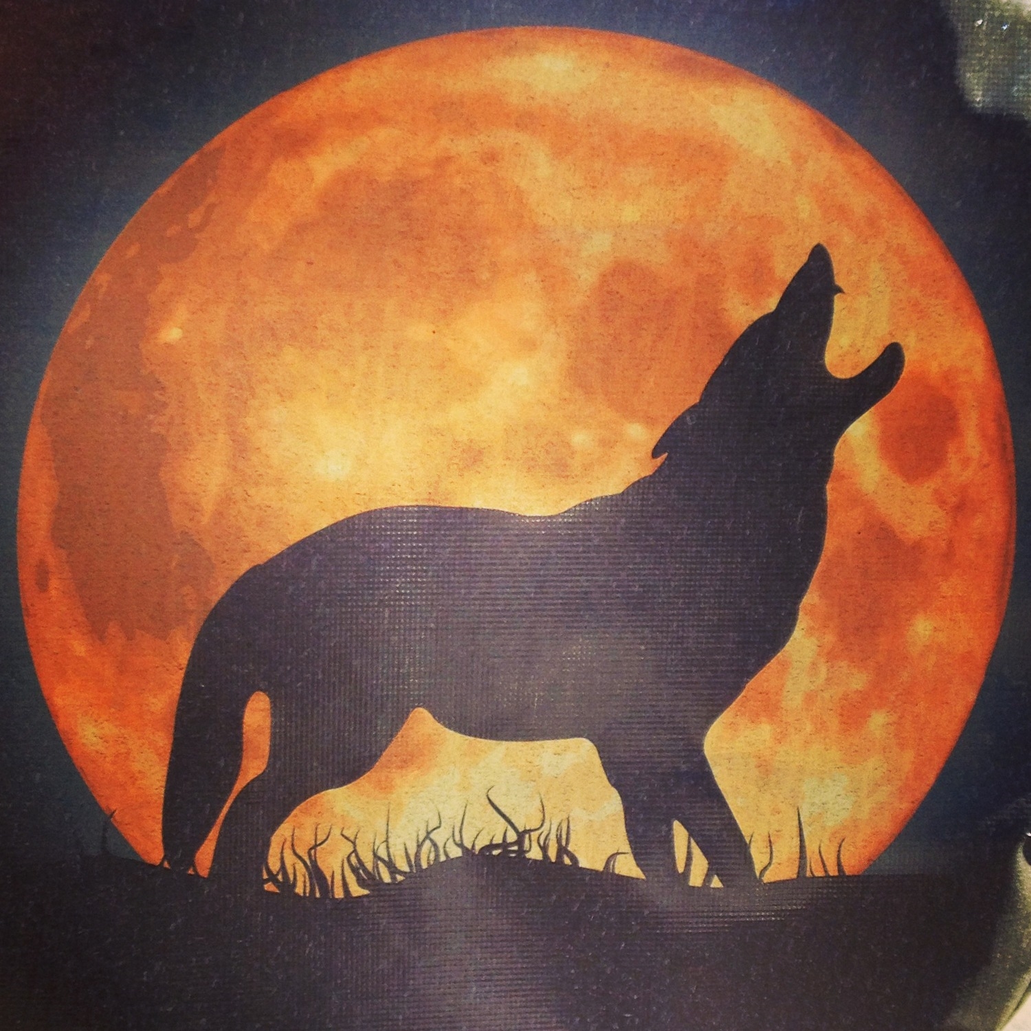 I saw this spare wheel cover on a Jeep in Cobble Hill, Brooklyn and it made my wild woman heart sing….er…. HOWL! 