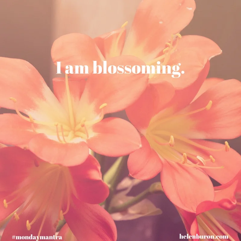 HAPPY SPRING EQUINOX!
