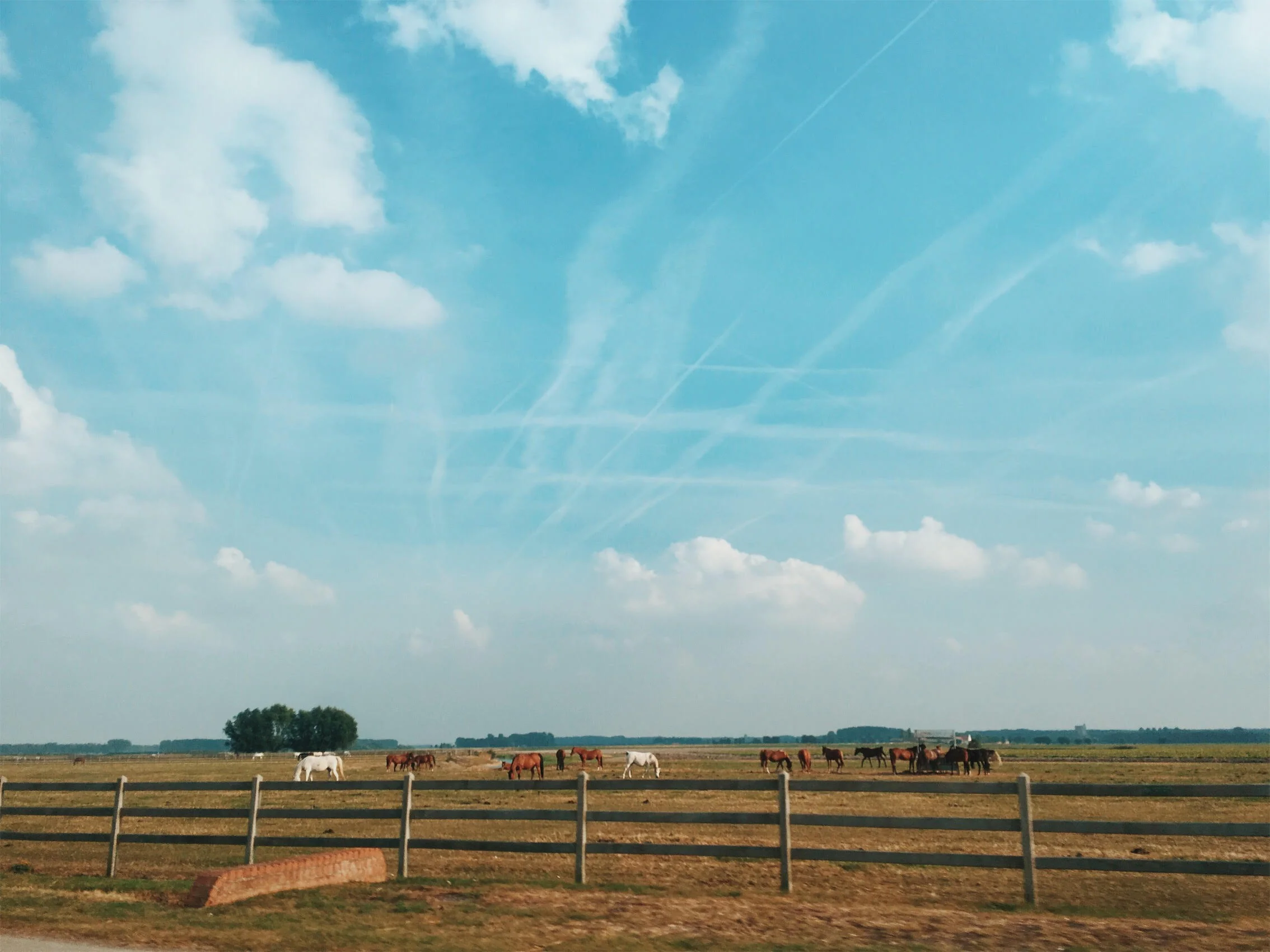 9/21 /2016 — Knokke-Heist, Belgium