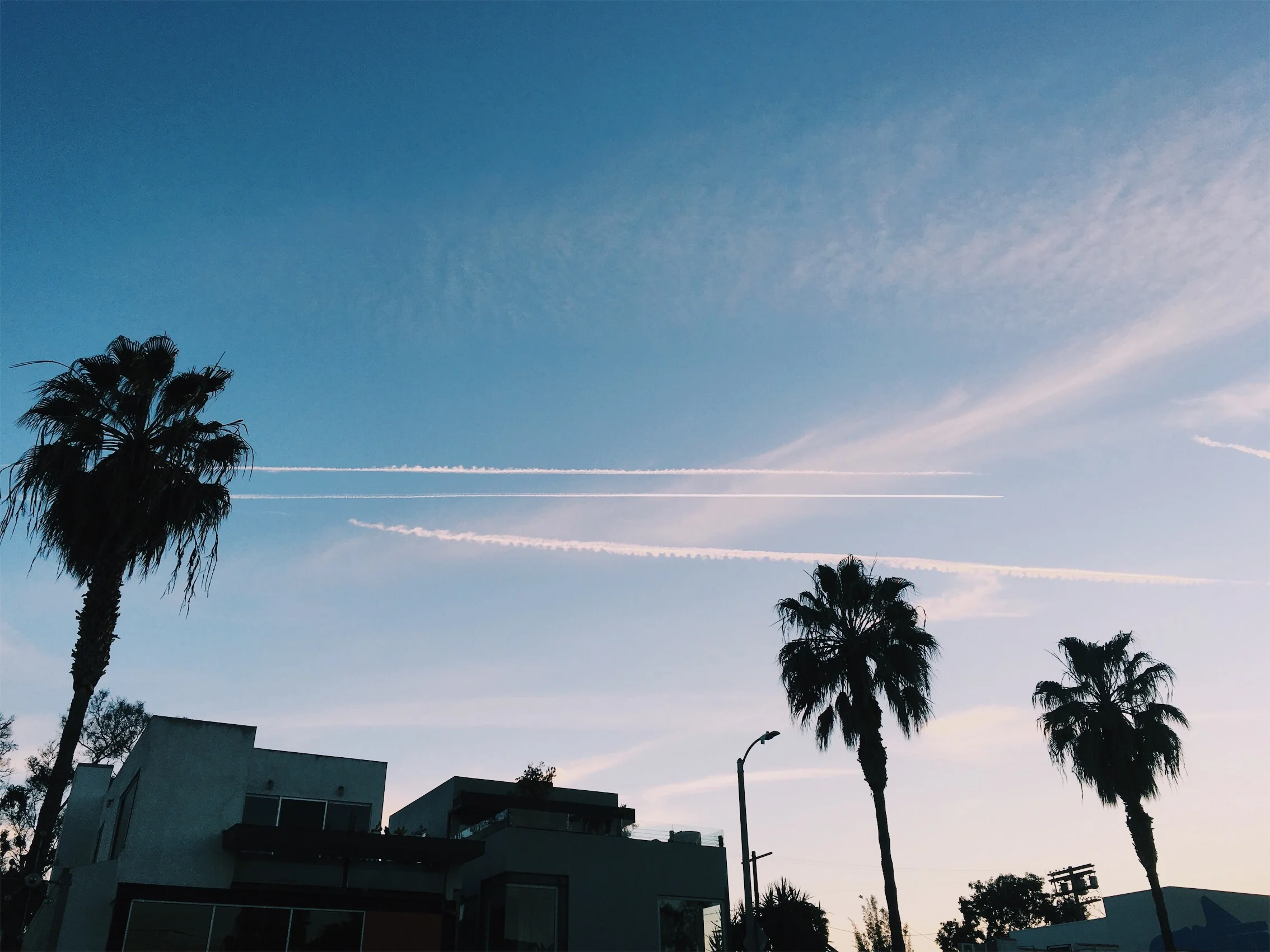 3/4/2017 — Abbot Kinney, Venice, Los Angeles