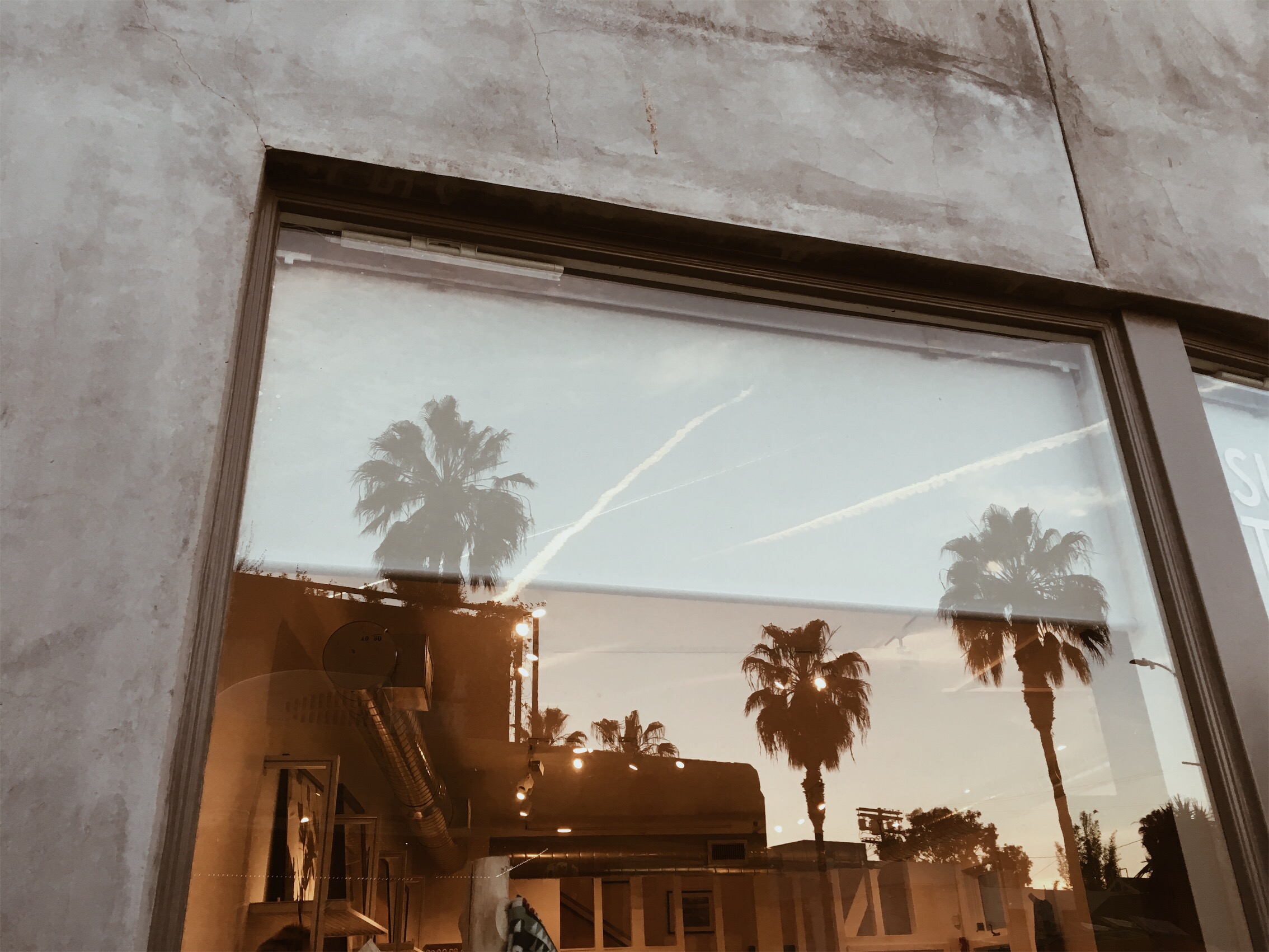 3/4/2017 — Abbot Kinney, Venice, Los Angeles