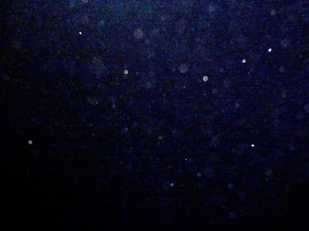 ORB SWARM – FULL MOON SUMMONED 9/5/2017 — Redlands, California