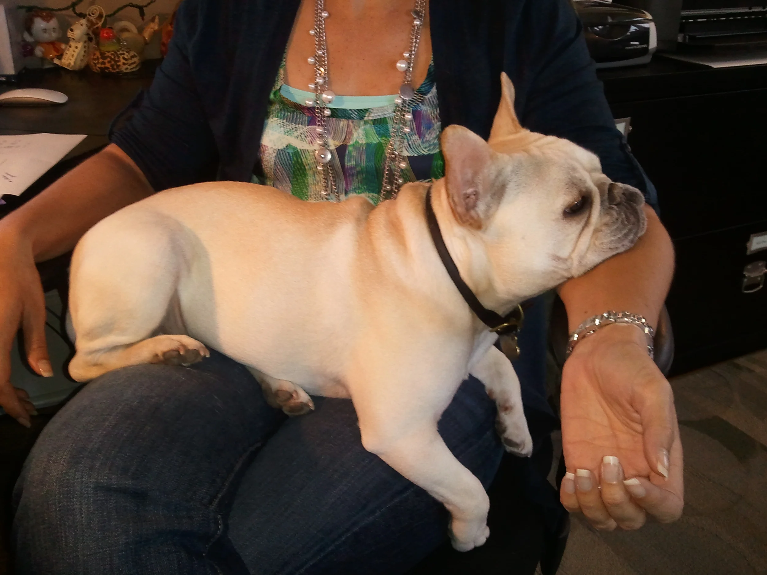 Ruff Day at the Office