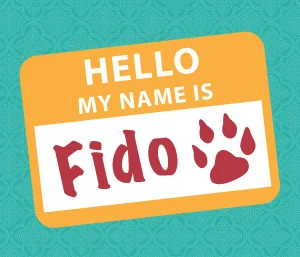 Yappy Hour: a Great Networking Opportunity