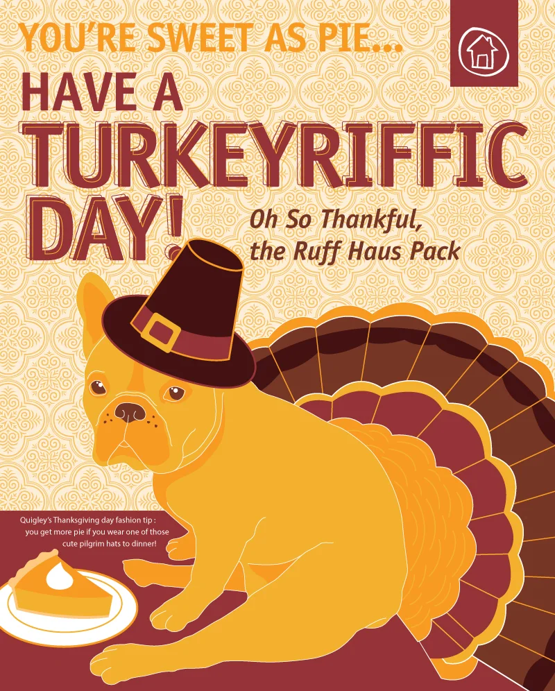 A Turkeyriffic Quigley Illustration