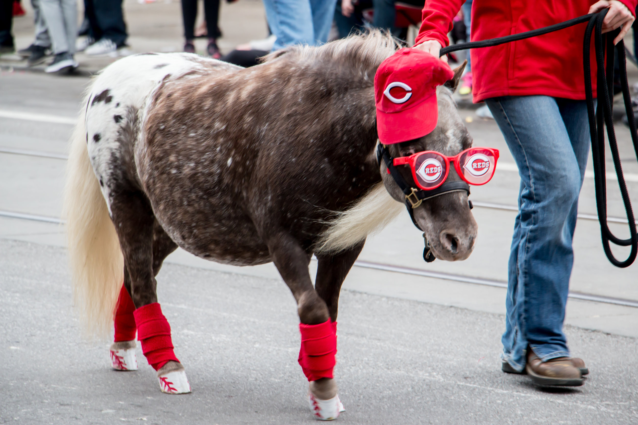 LOOK AT THOSE HOOVES! <3 