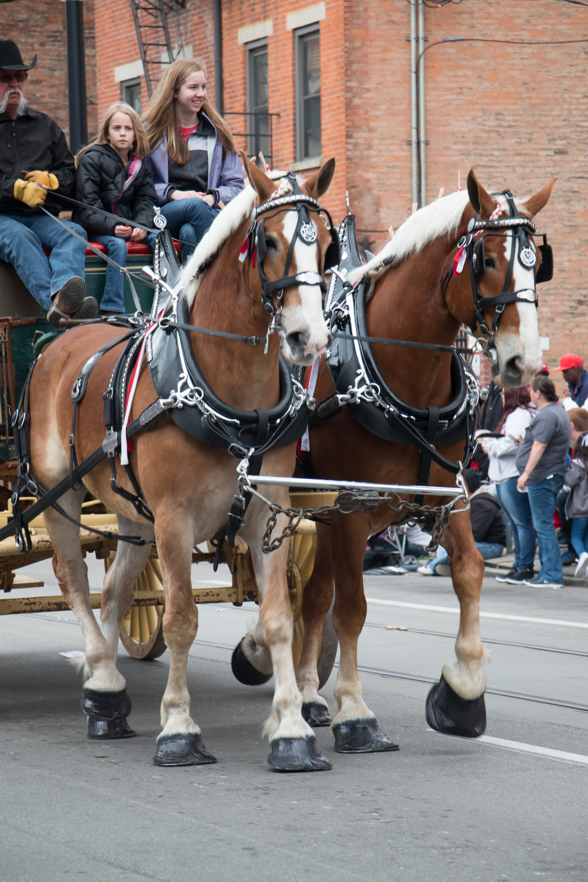 IMG_7827.jpg