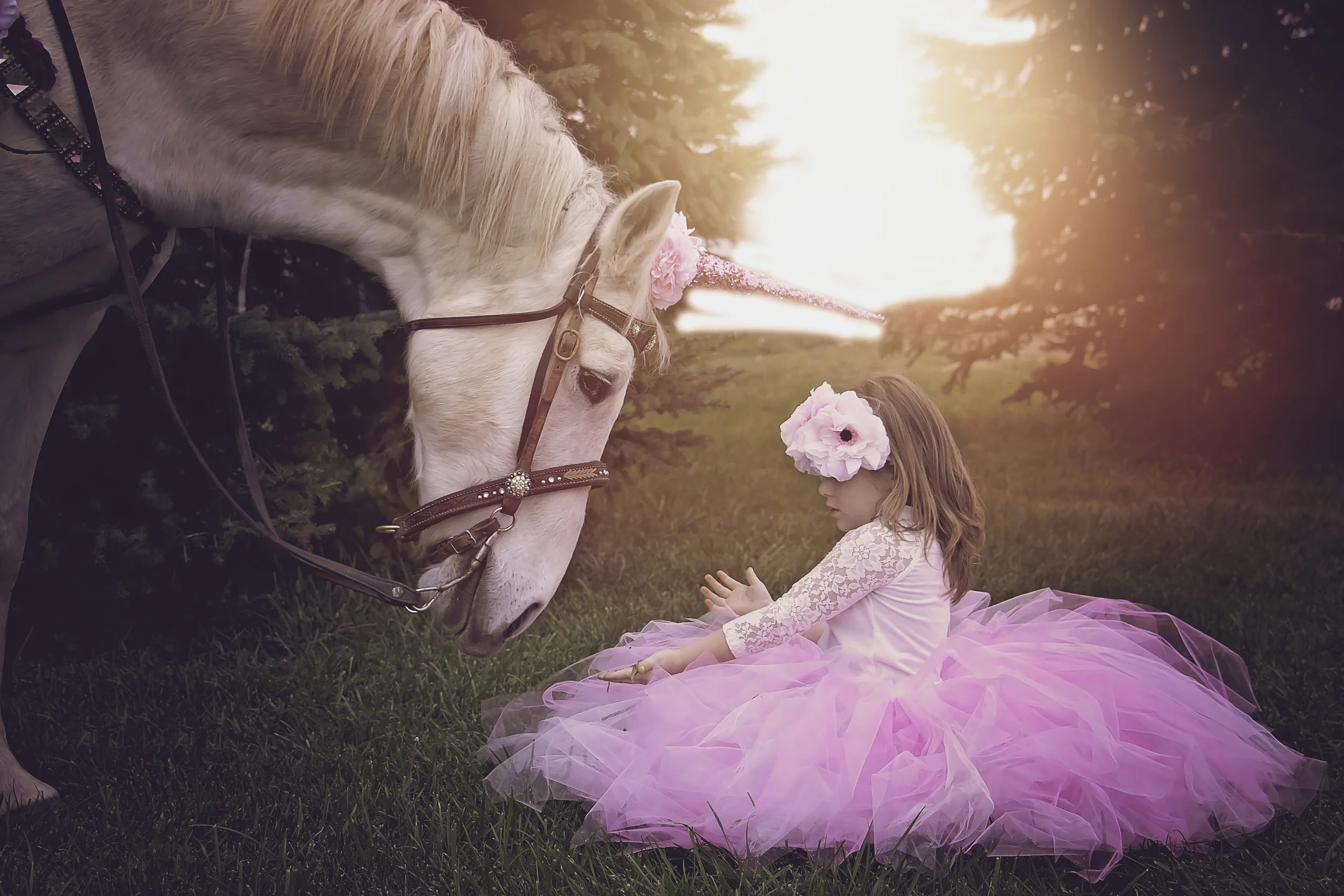 Amazing Experiences in Cincinnati Ohio Unicorn.jpg