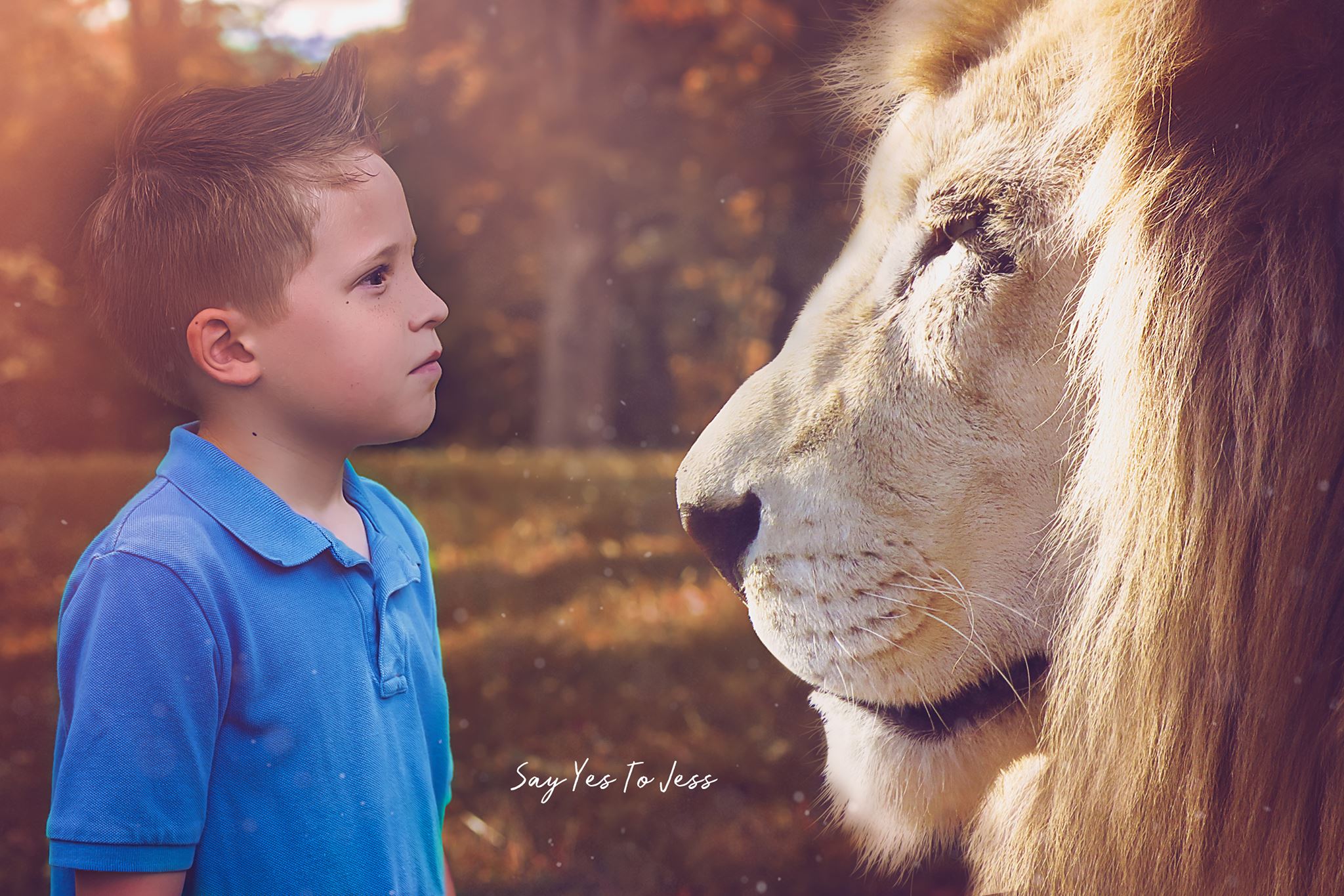 Child Dream Session Photographer Cincinnati Ohio and Covington Kentucky.jpg