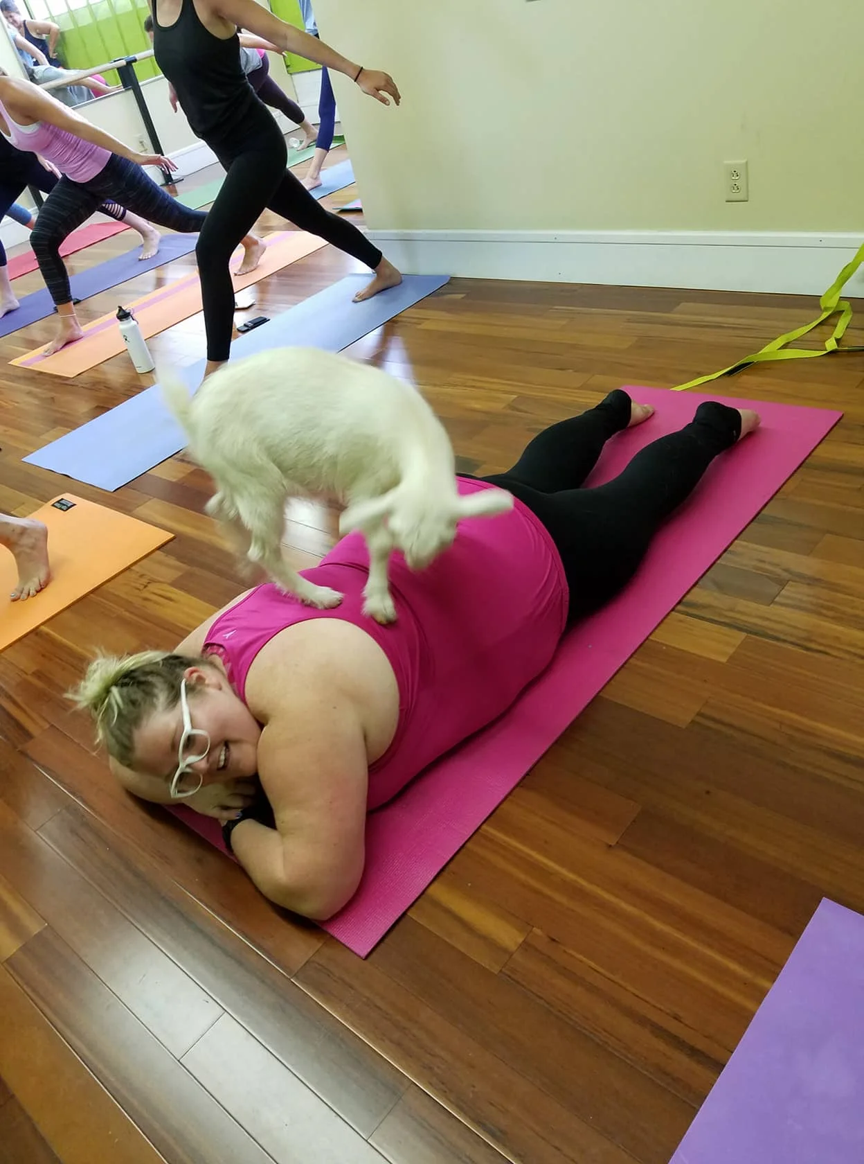 Cincinnati and Covington Corestrong Goat Yoga Class 3.jpg