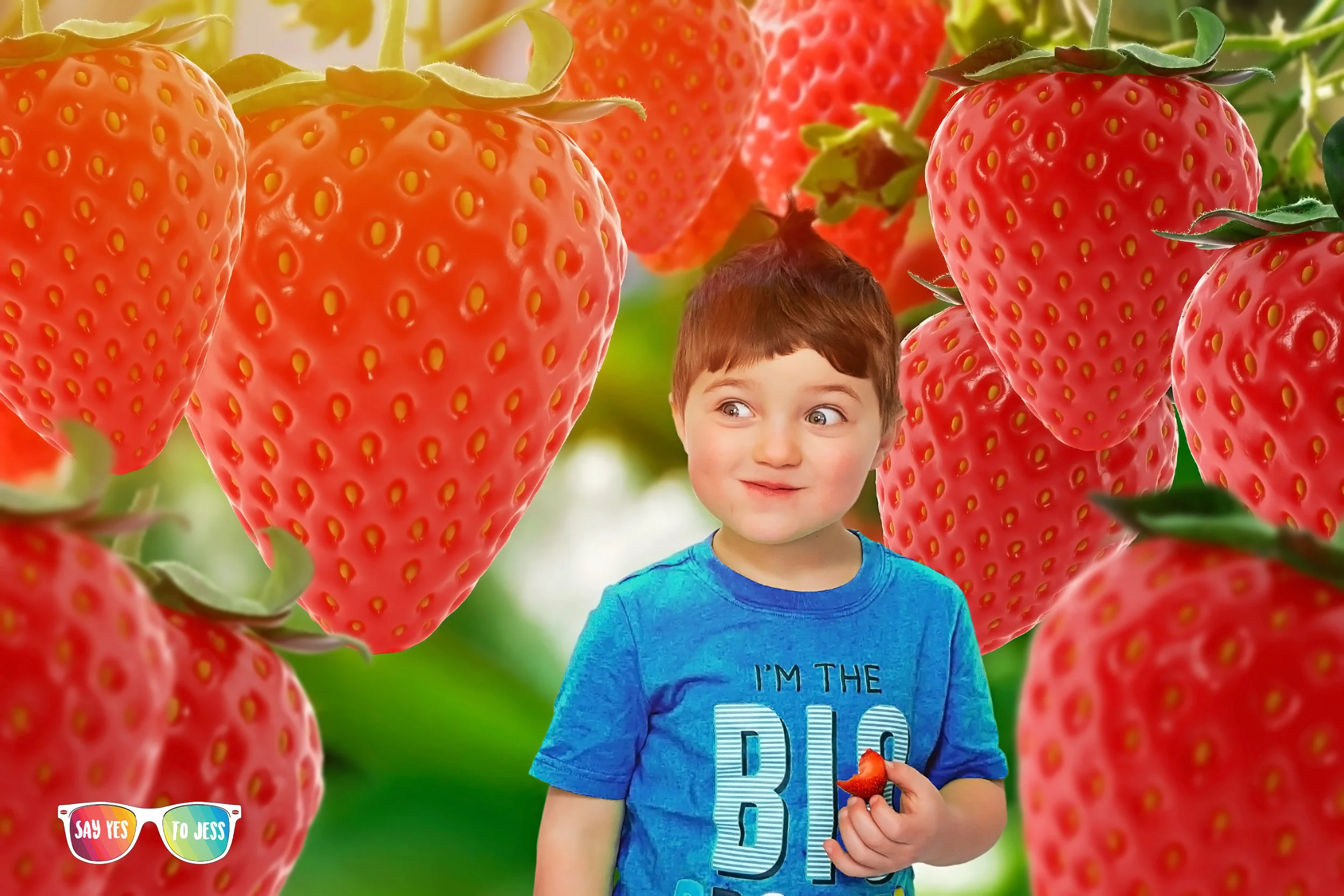 Berry fieldWM.jpg