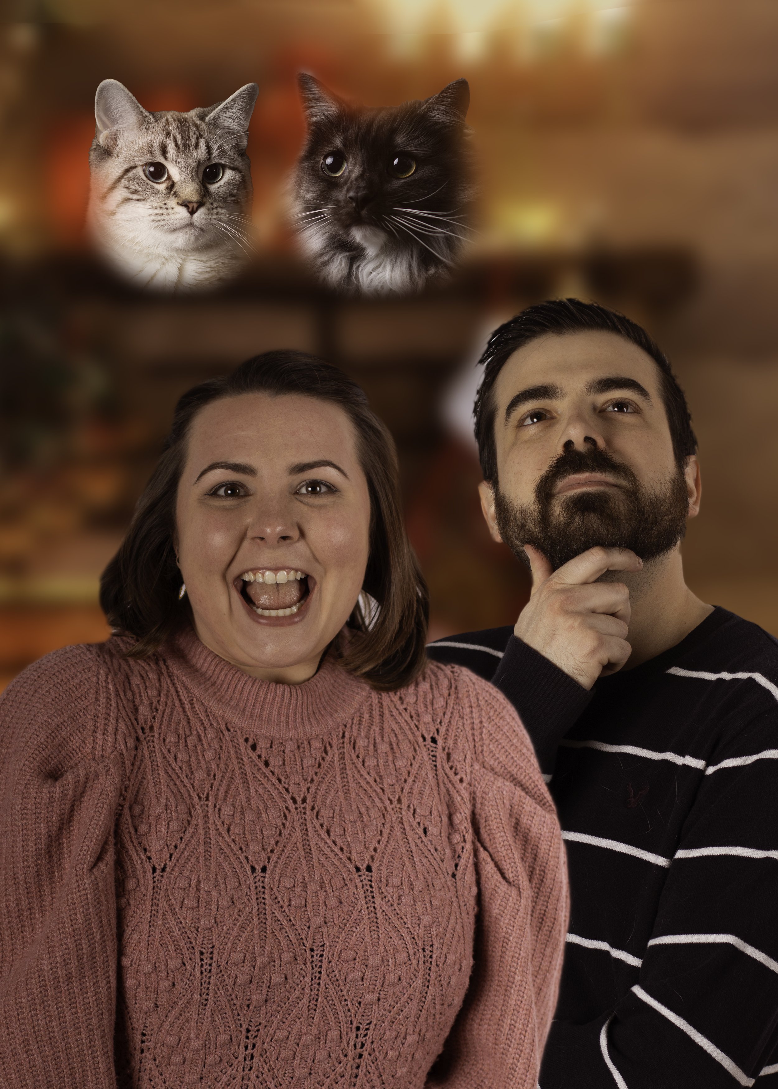bad family christmas photos with cats