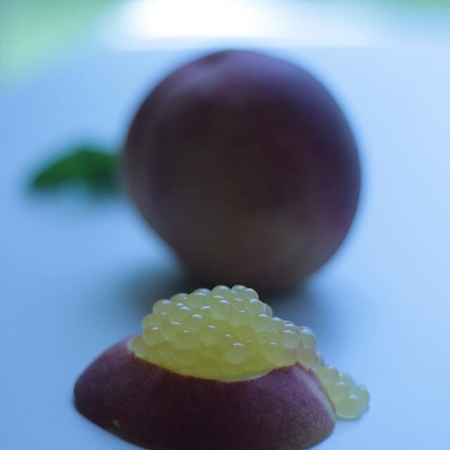 Peach juice caviar using molecular gastronomy. 
Math, ratios &amp; chemical reactions. This experiment was delicious and fun!
.
.
#science #moleculargastronomy #stemathome #kidactivities #scienceprojectsforkids #kidsofinstagram #fruit #peaches #peach