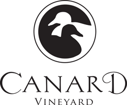 Canard-symbol-with-logotype.png