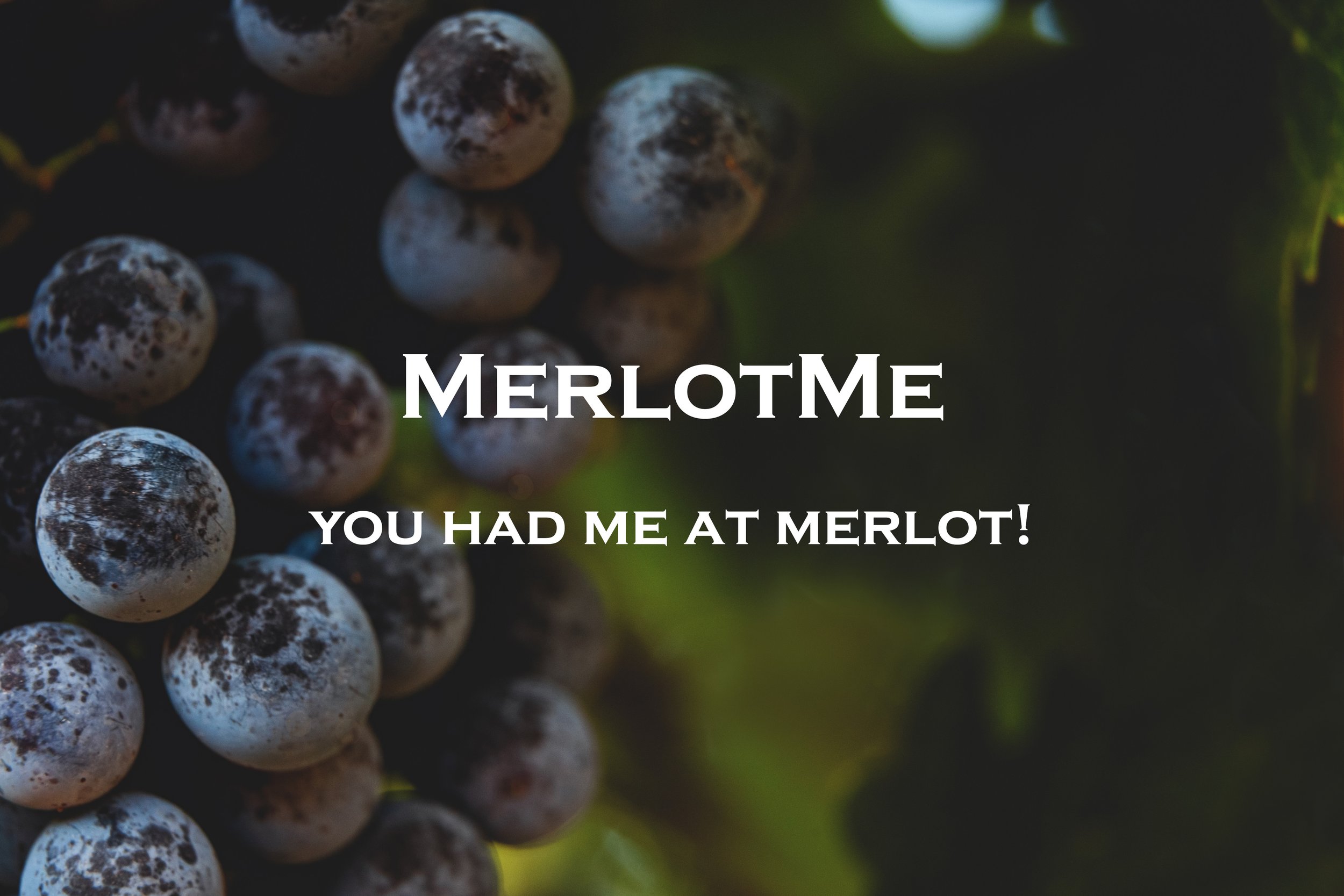 MerlotMe Banner.png