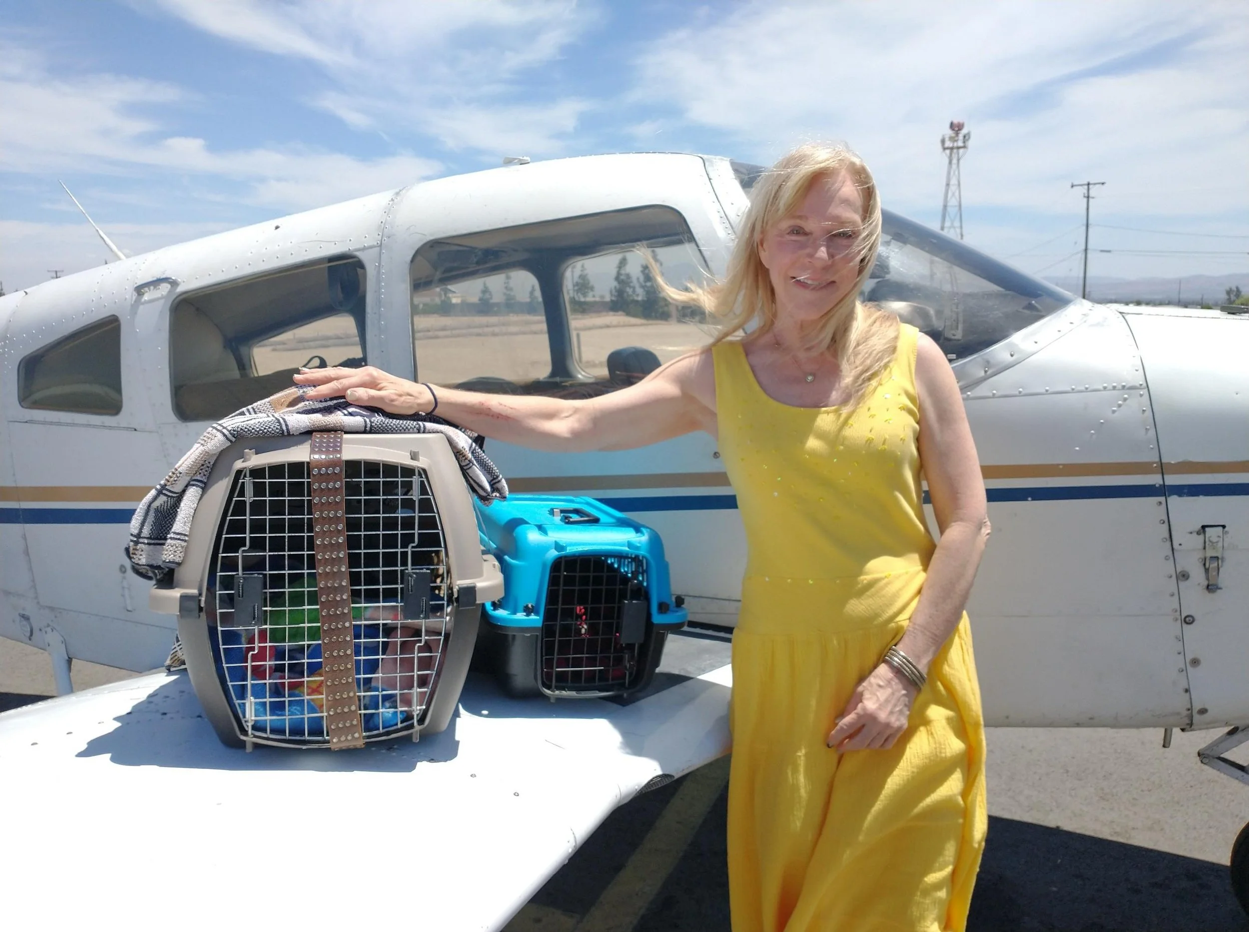 Animals In Need Rescue Network