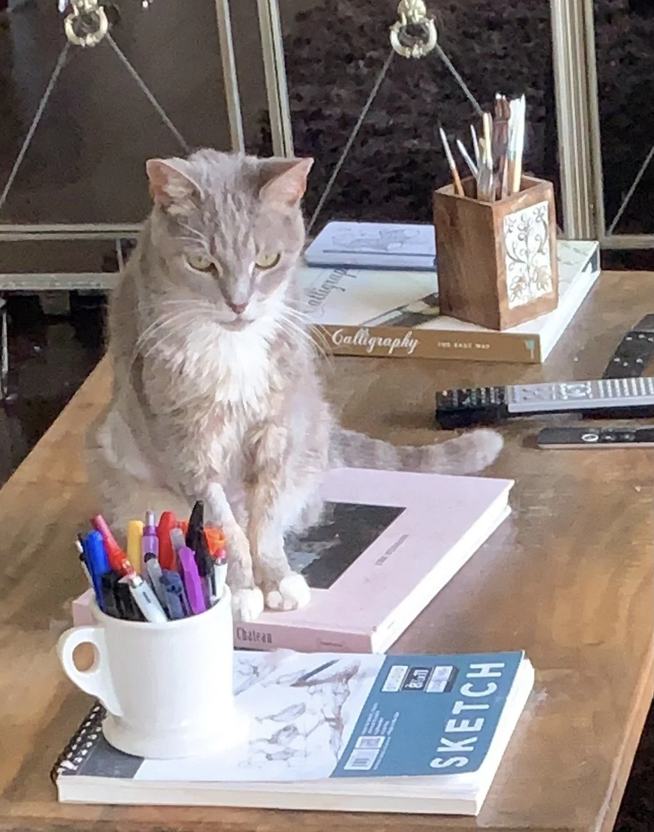 Animals In Need Rescue Network