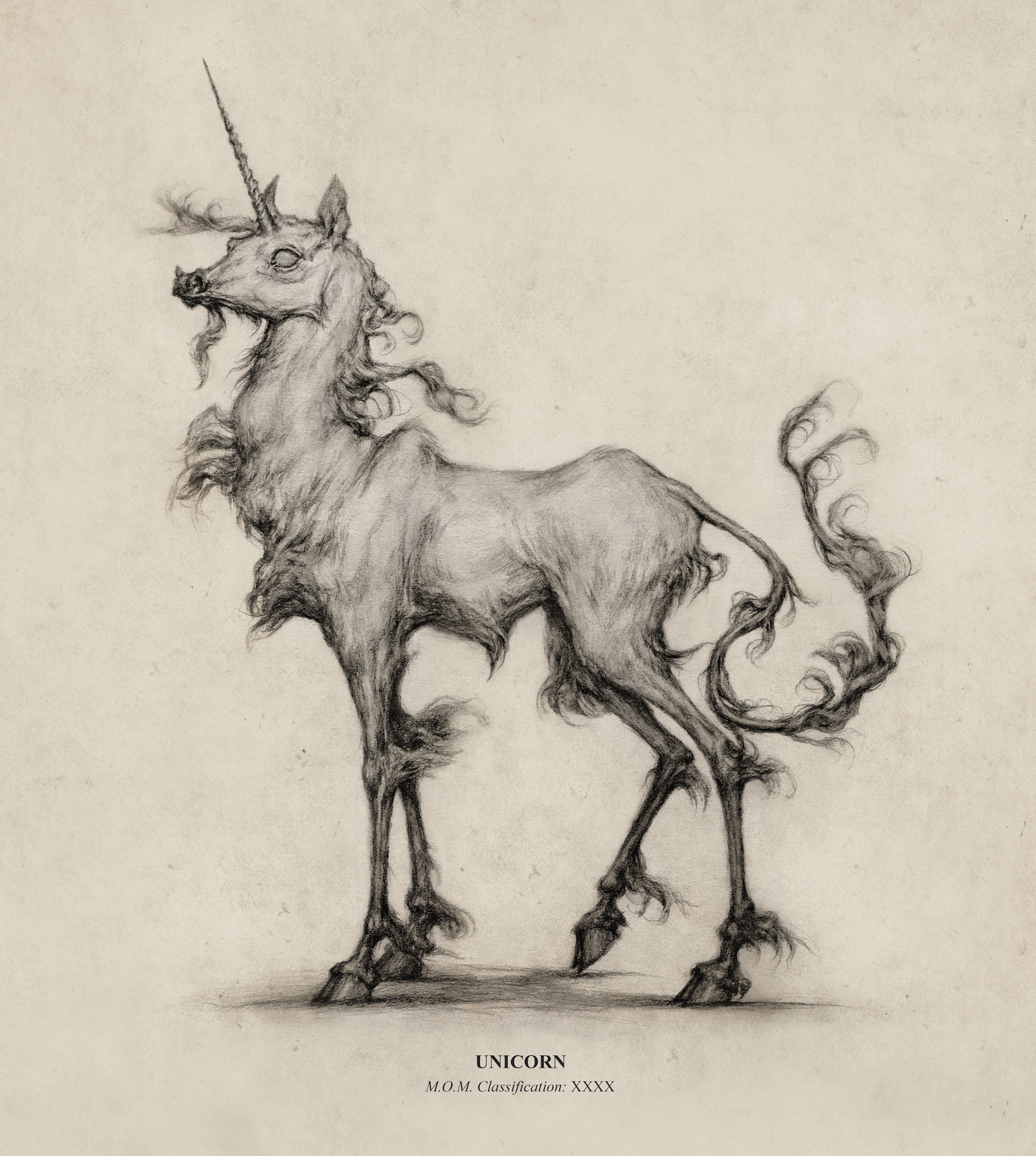 illustration_unicorn.jpg