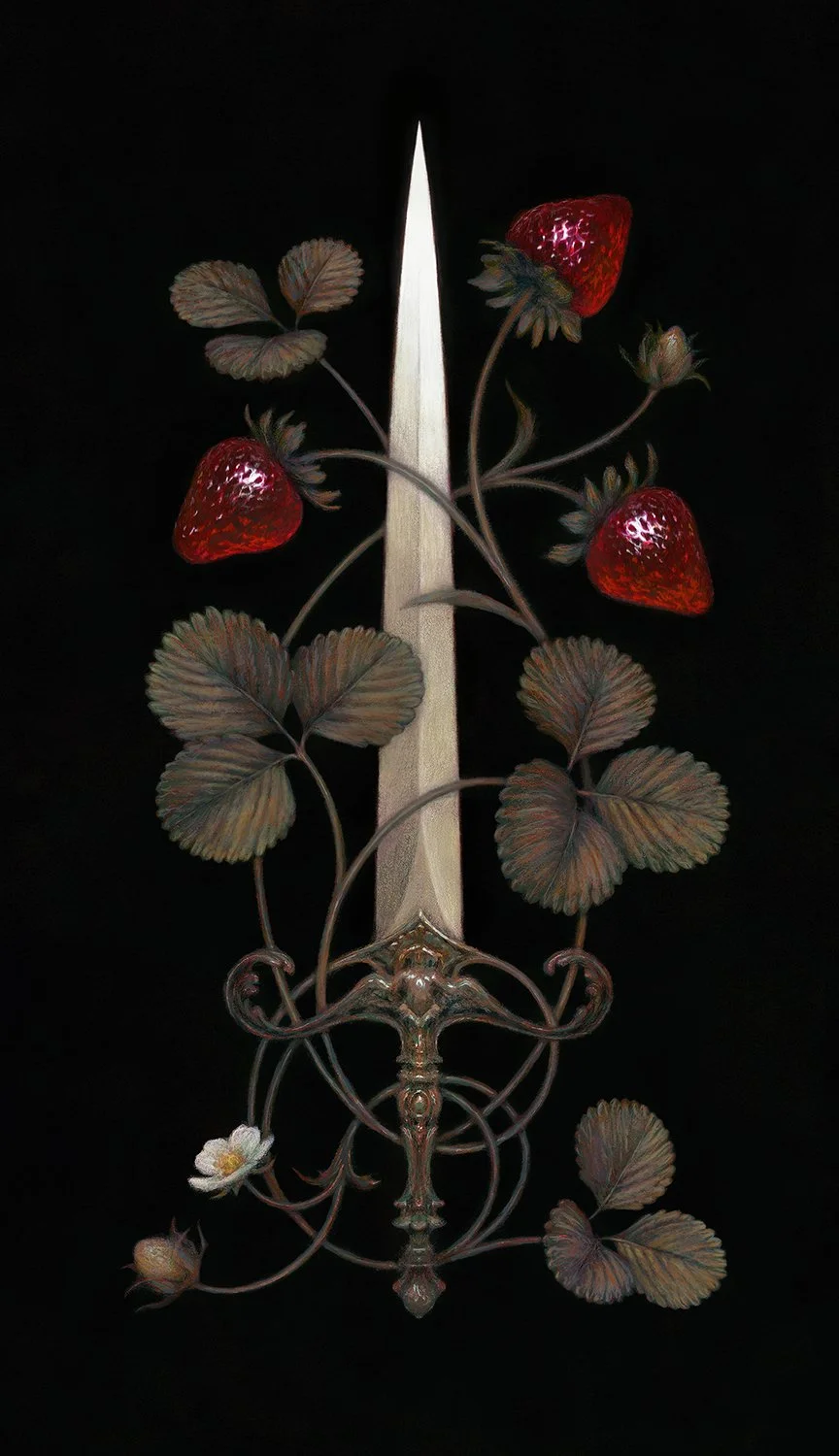 StrawberryDagger_illustration.jpg