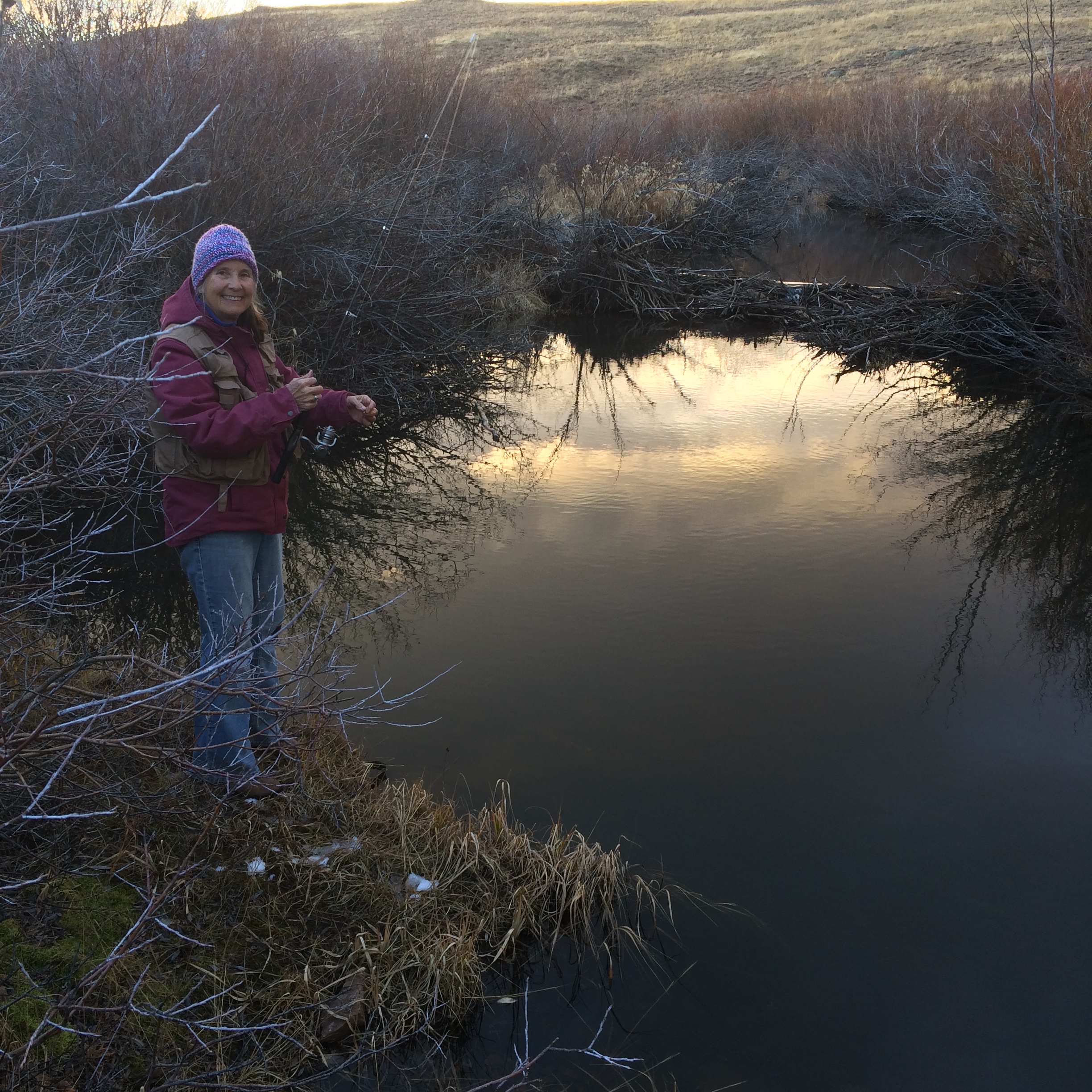 Beaver Ponds near Bruce & Janette