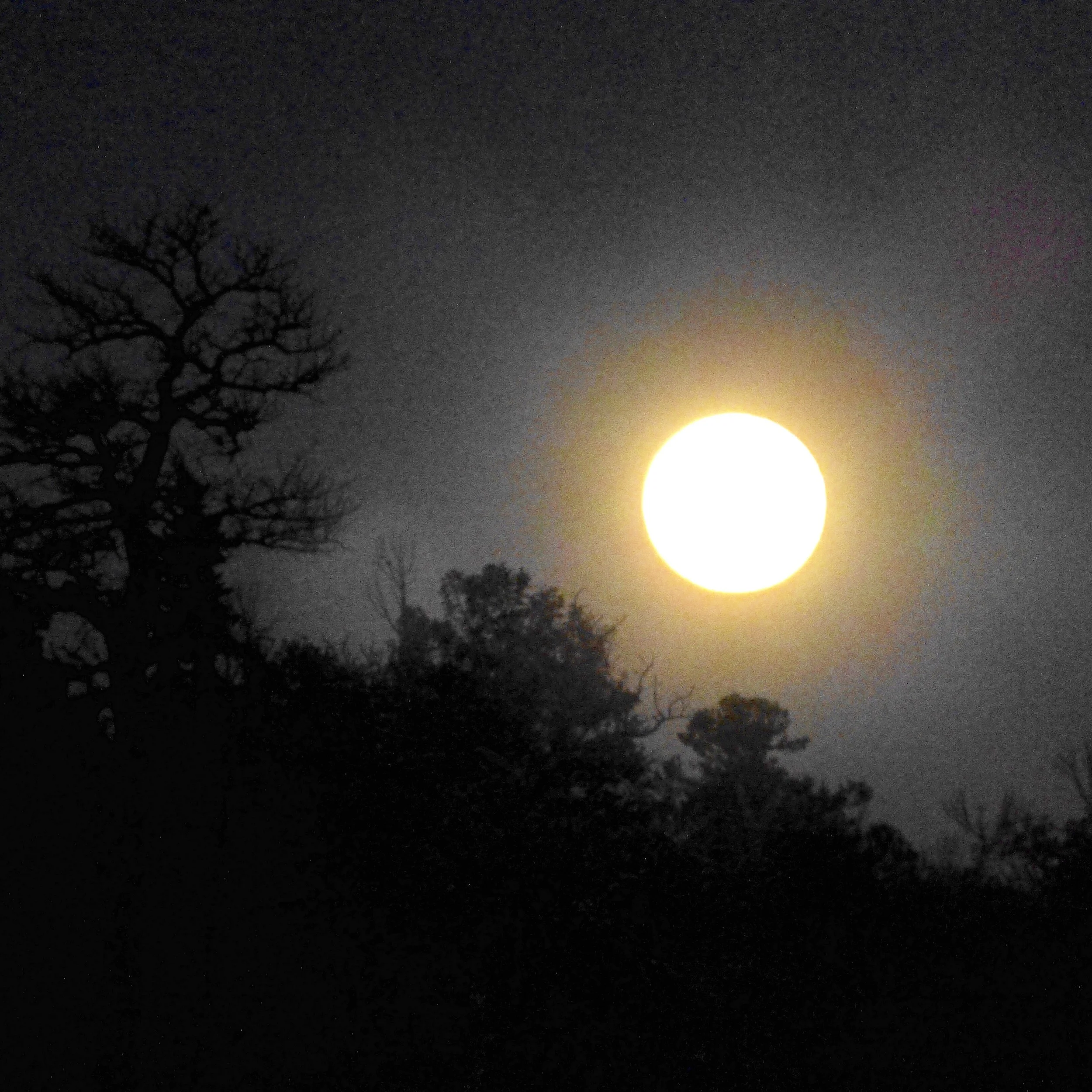 Moonrise over the ridge