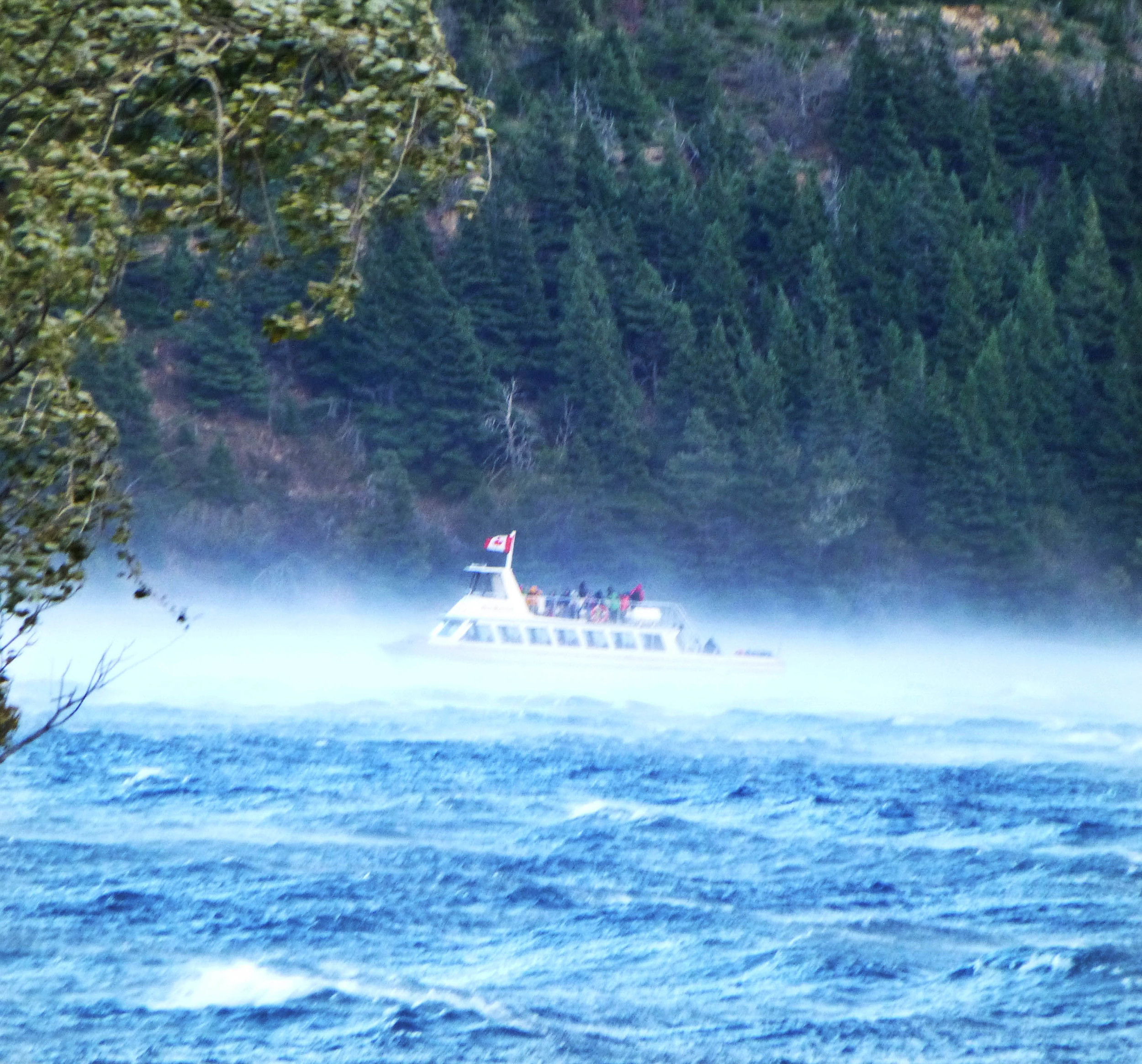 50 MPH gusts, passengers look pretty damp